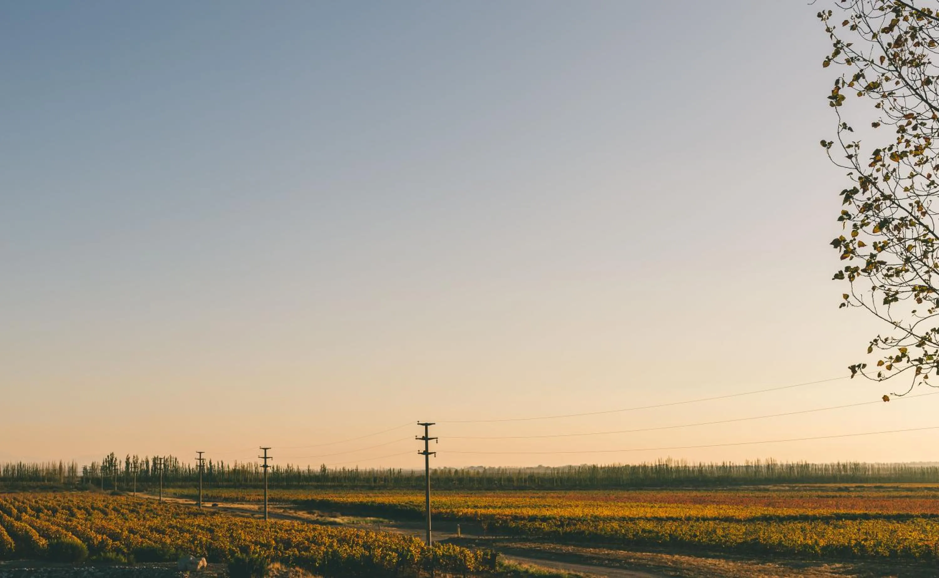 Spring in Rosell Boher Winery Lodge & Spa