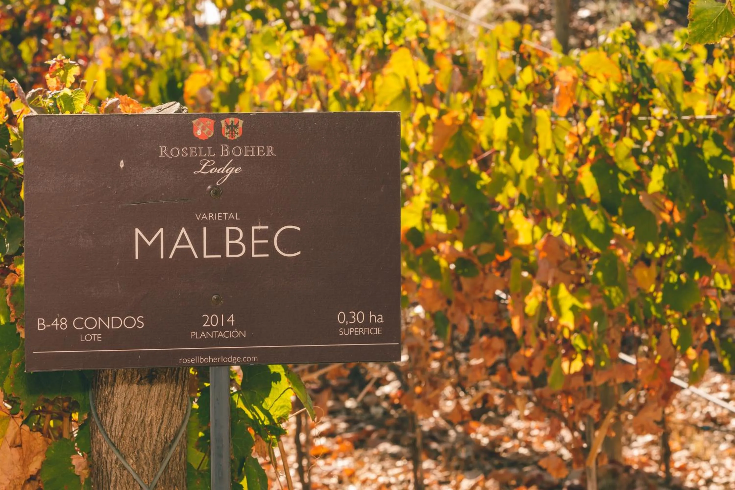 Spring in Rosell Boher Winery Lodge & Spa