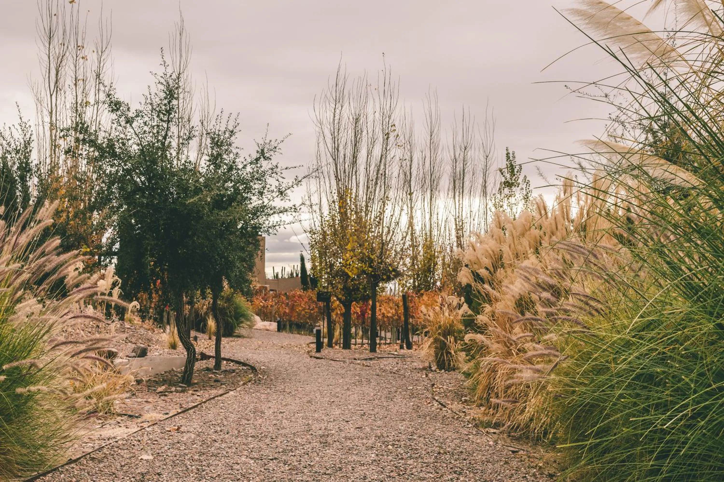 Spring in Rosell Boher Winery Lodge & Spa