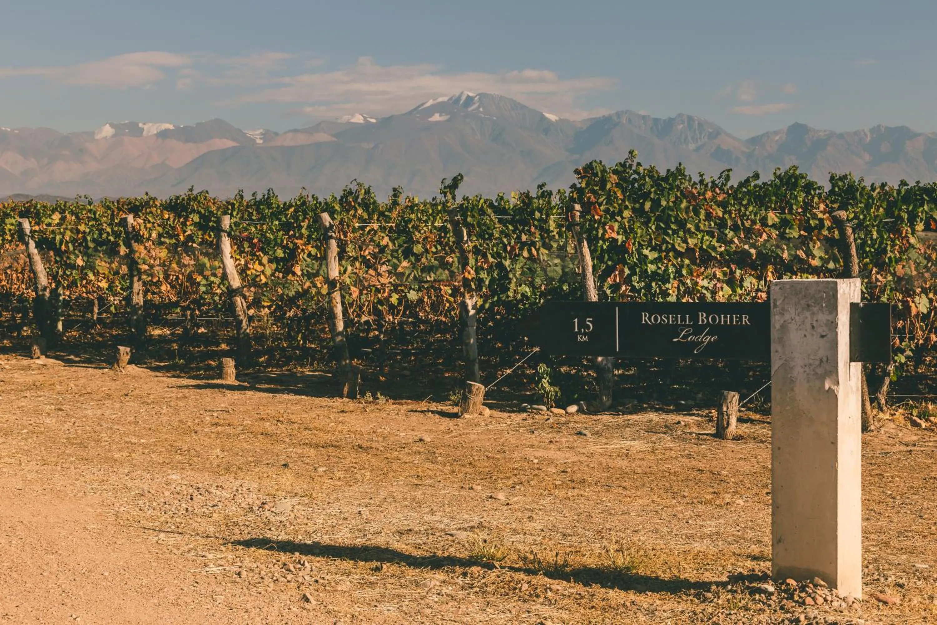 Spring in Rosell Boher Winery Lodge & Spa