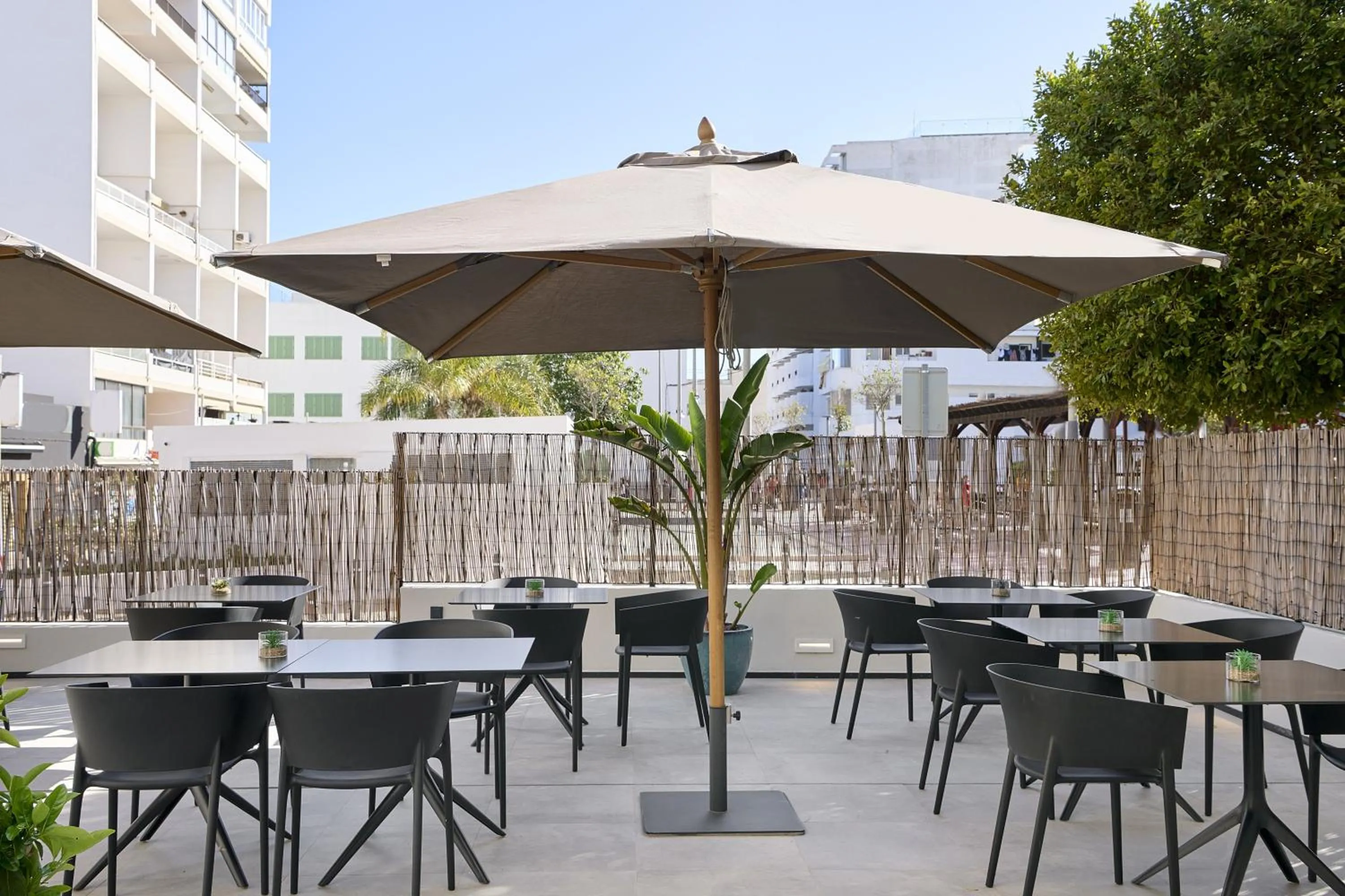 Restaurant/places to eat in Stic Urban Hotel & SPA