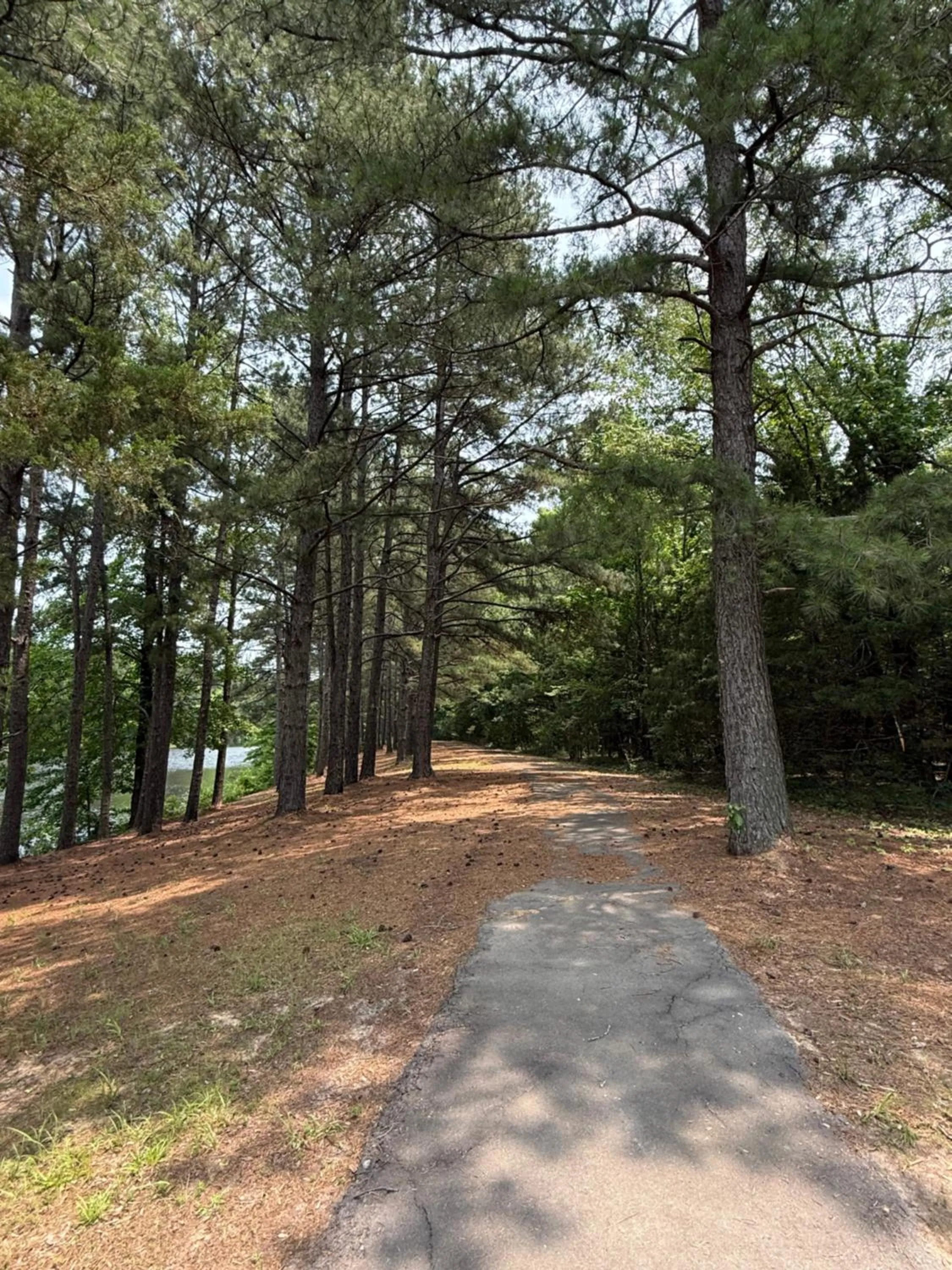 Lake view in Travel Inn