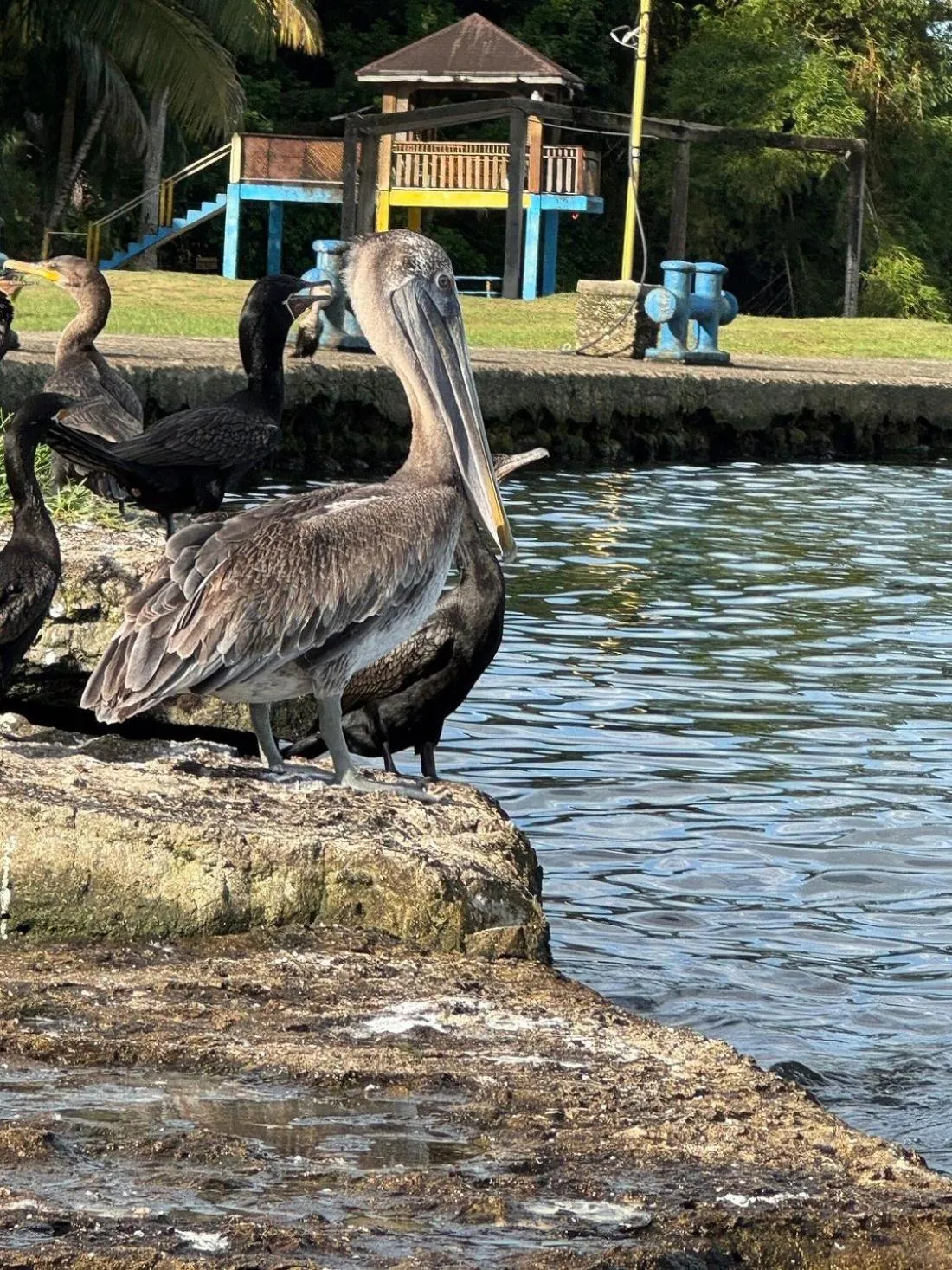 Day in Tortugal Boutique River Lodge