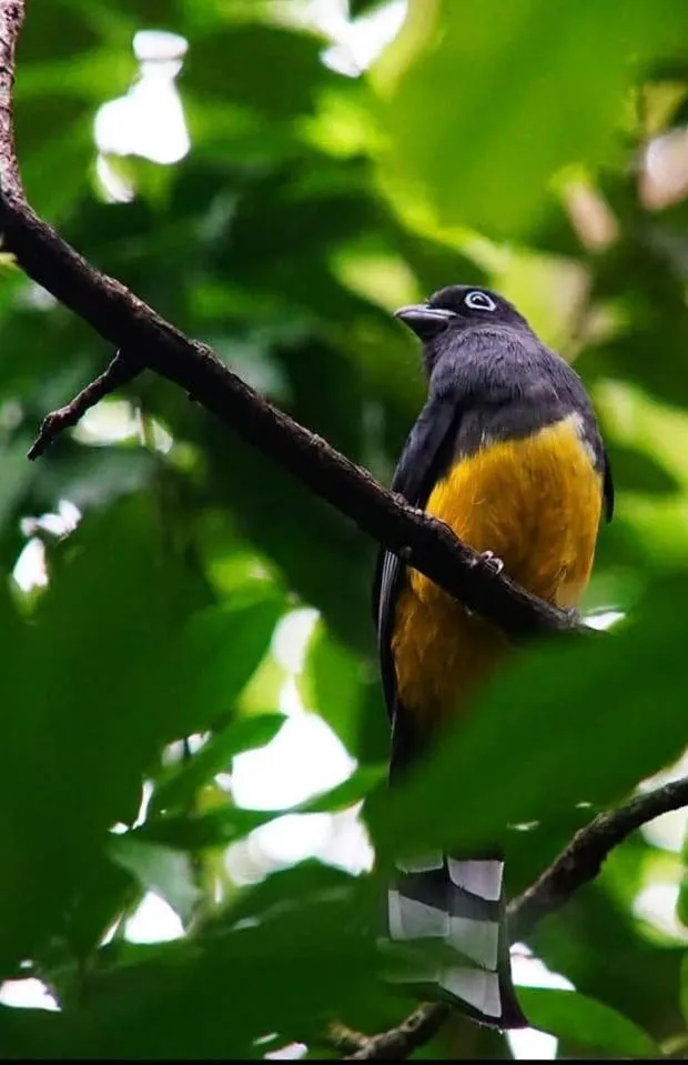 Day in Tortugal Boutique River Lodge