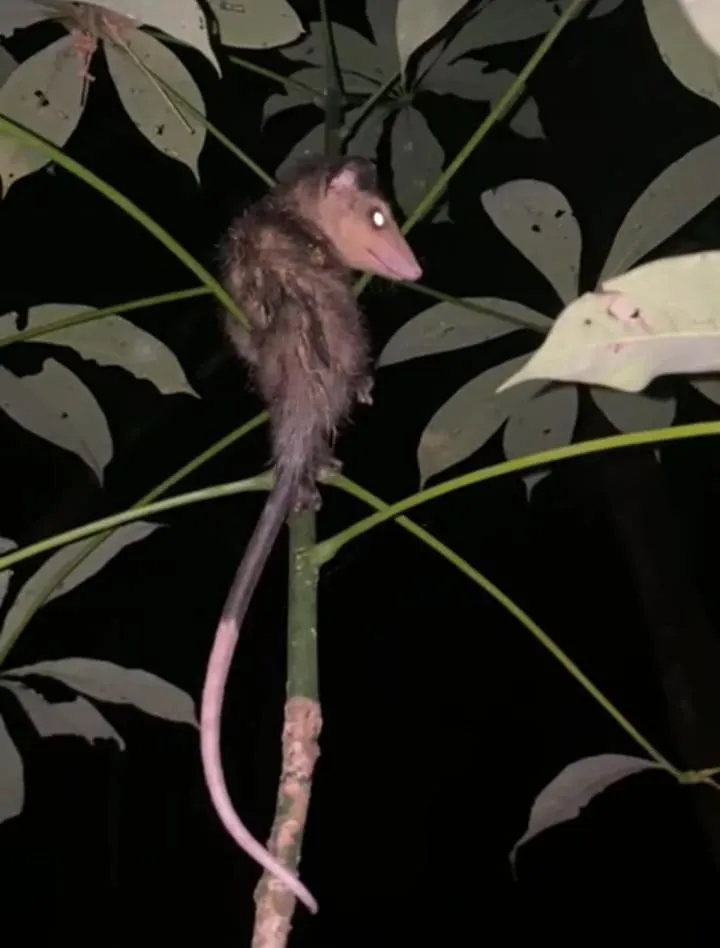 Property building in Tortugal Boutique River Lodge