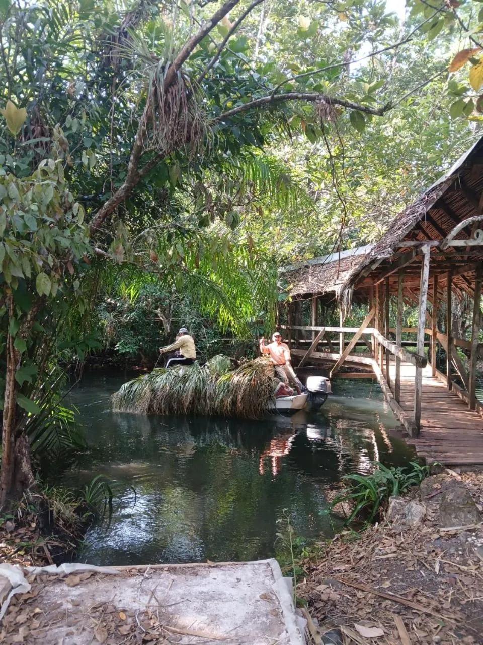 Property building in Tortugal Boutique River Lodge