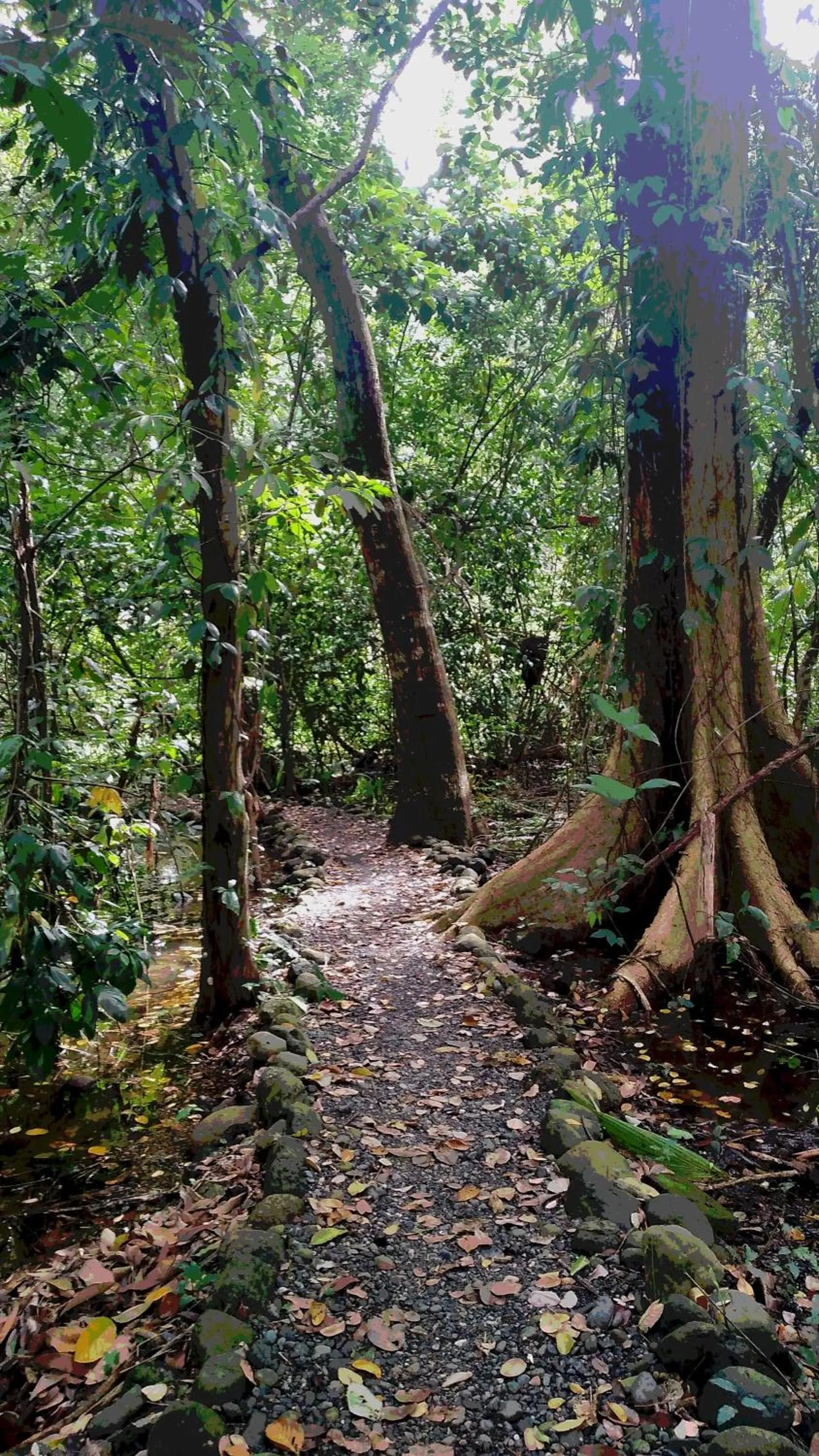 Spring in Tortugal Boutique River Lodge