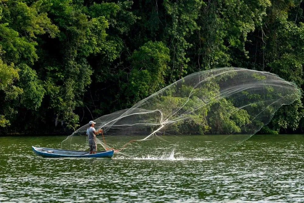 Spring in Tortugal Boutique River Lodge