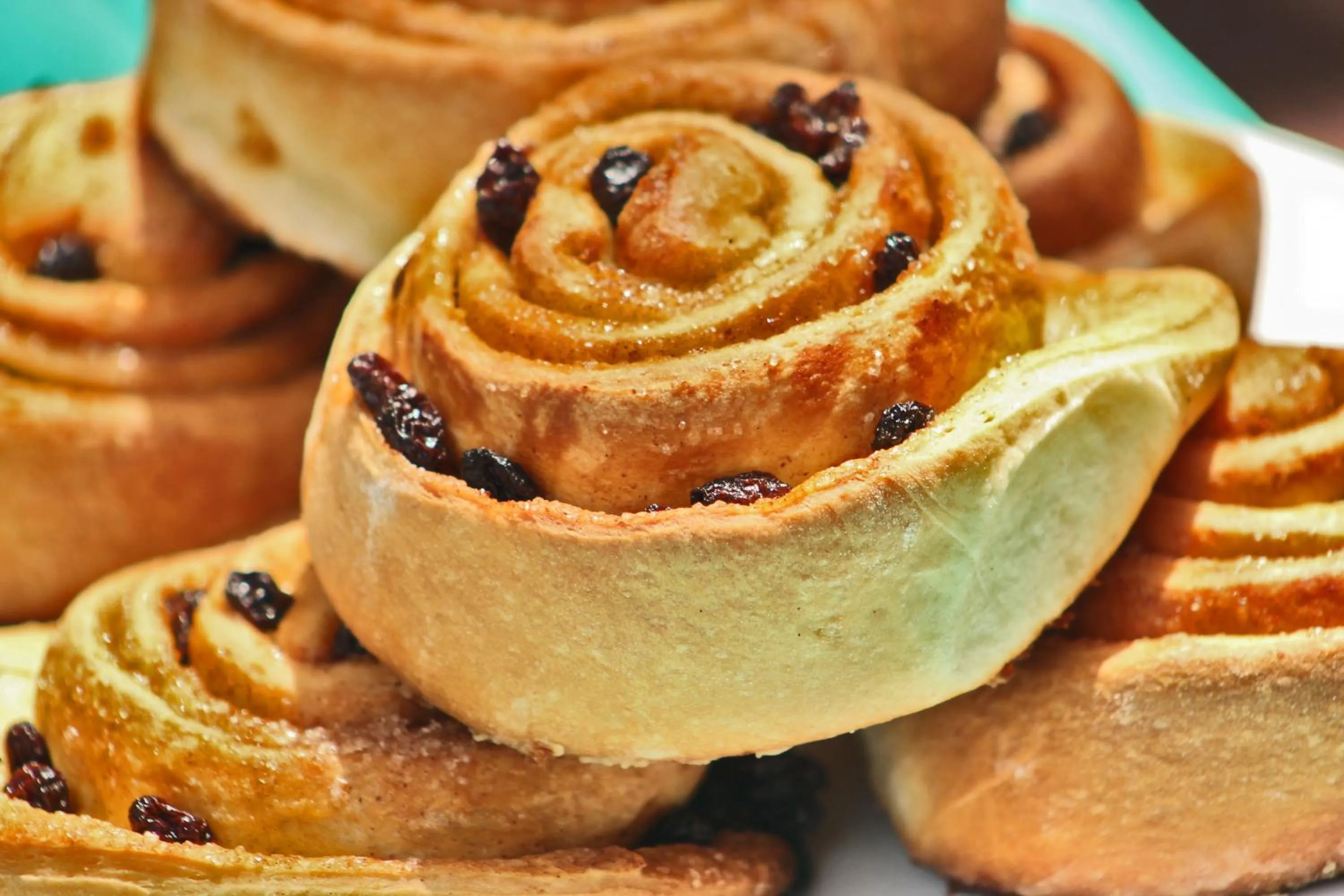 Restaurant/places to eat in Tortugal Boutique River Lodge