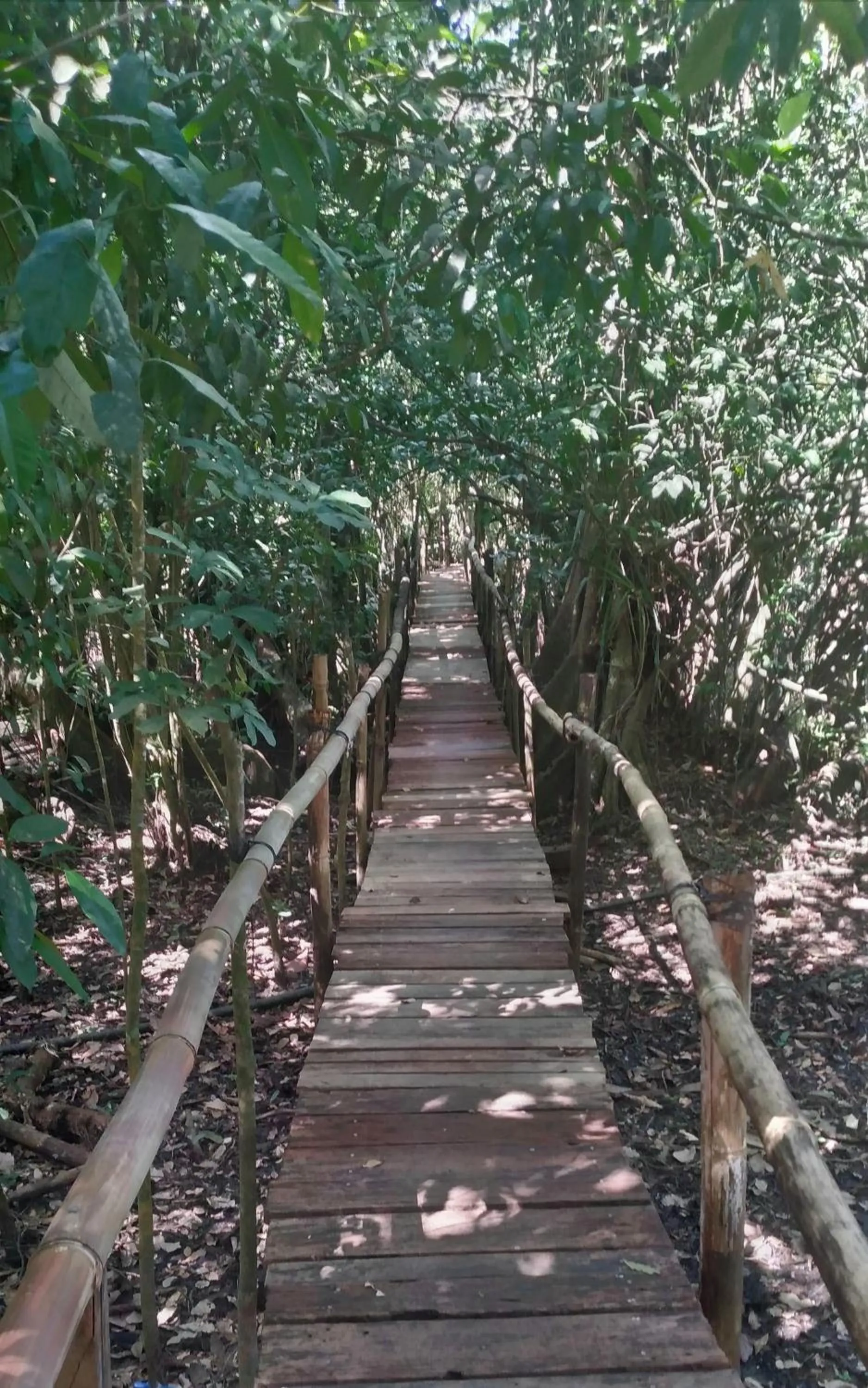 Property building in Tortugal Boutique River Lodge