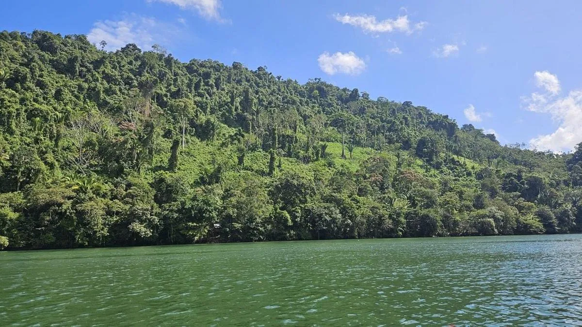 Nearby landmark in Tortugal Boutique River Lodge