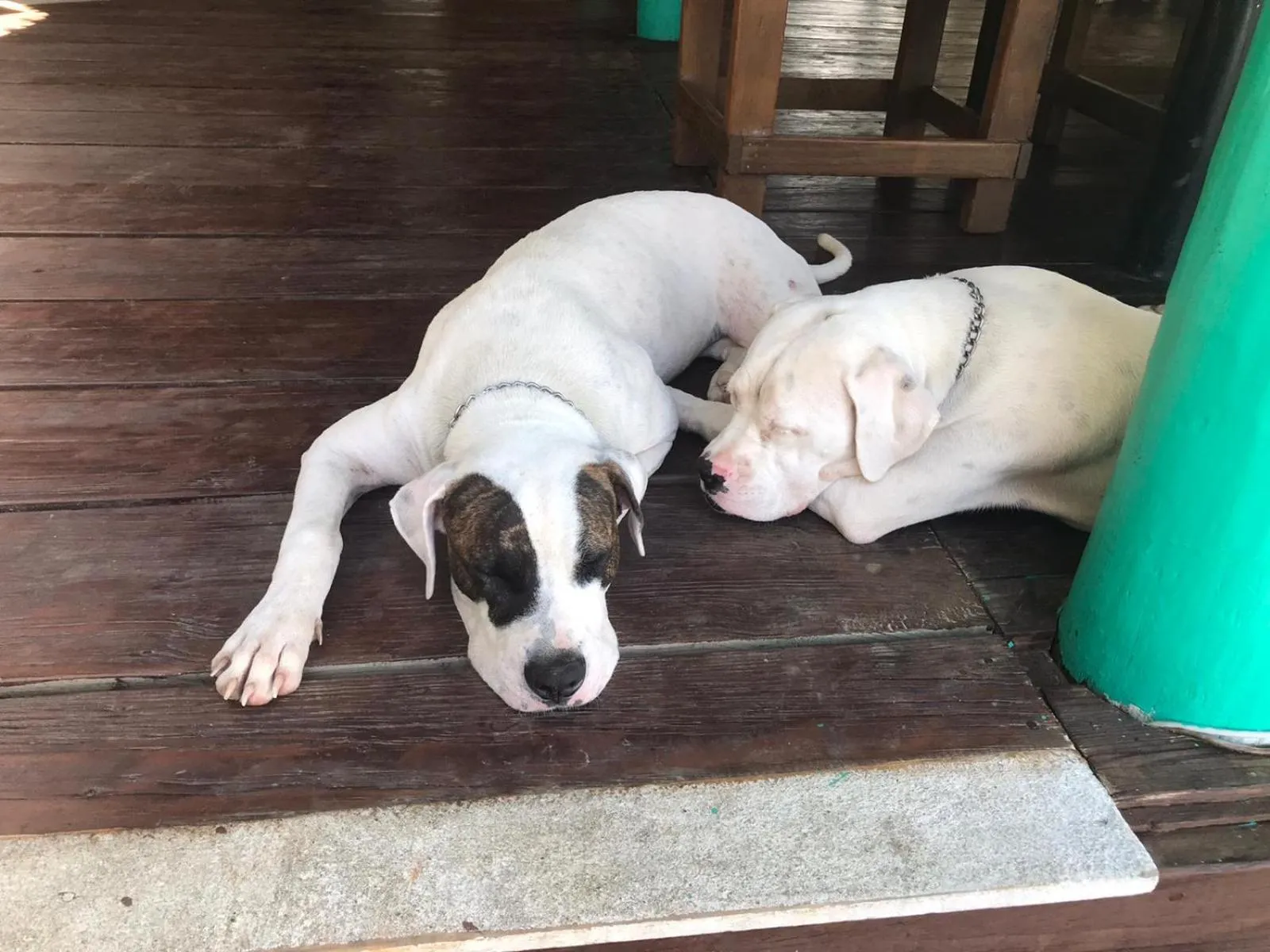 Property building in Tortugal Boutique River Lodge