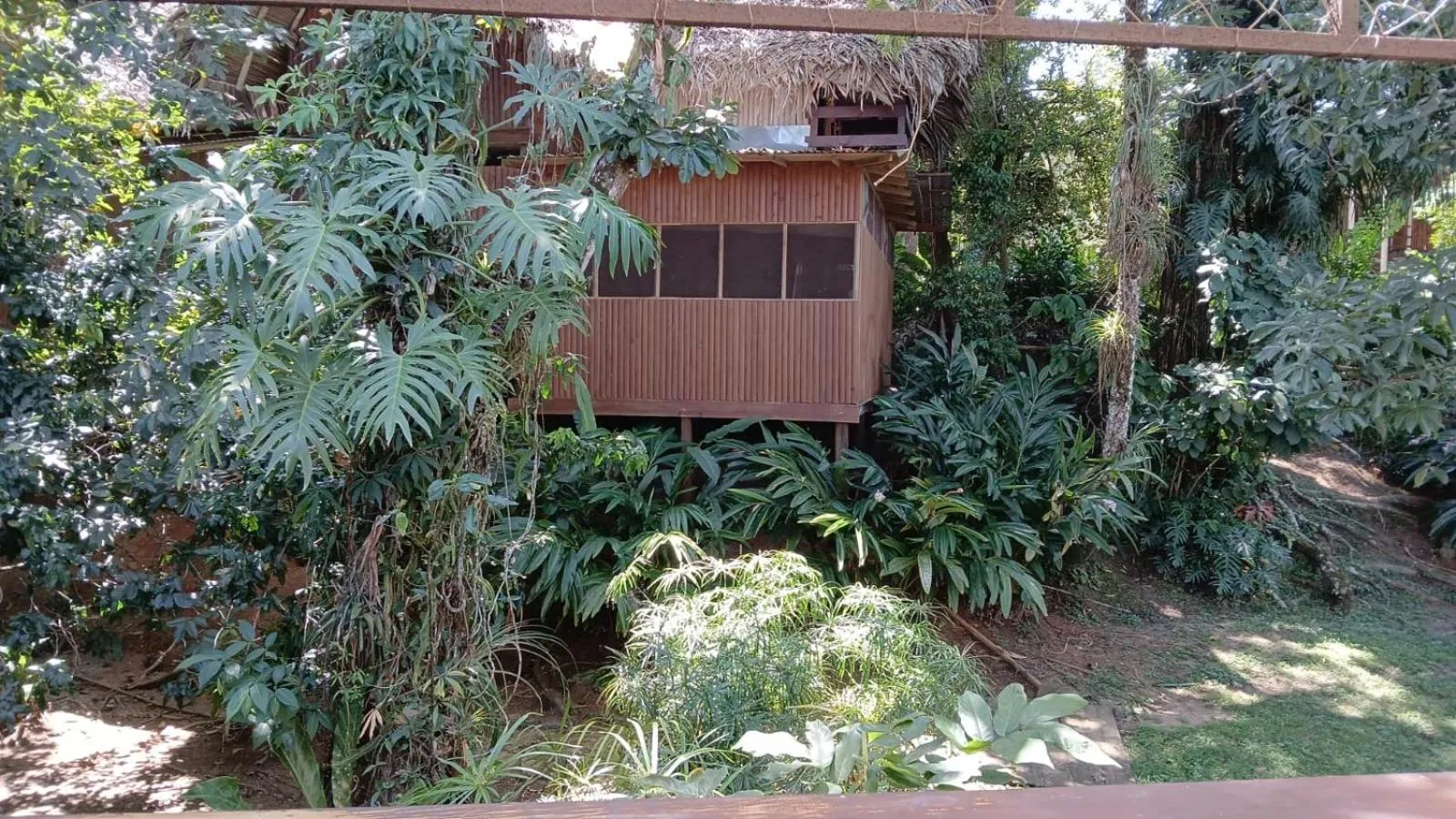 Spring in Tortugal Boutique River Lodge