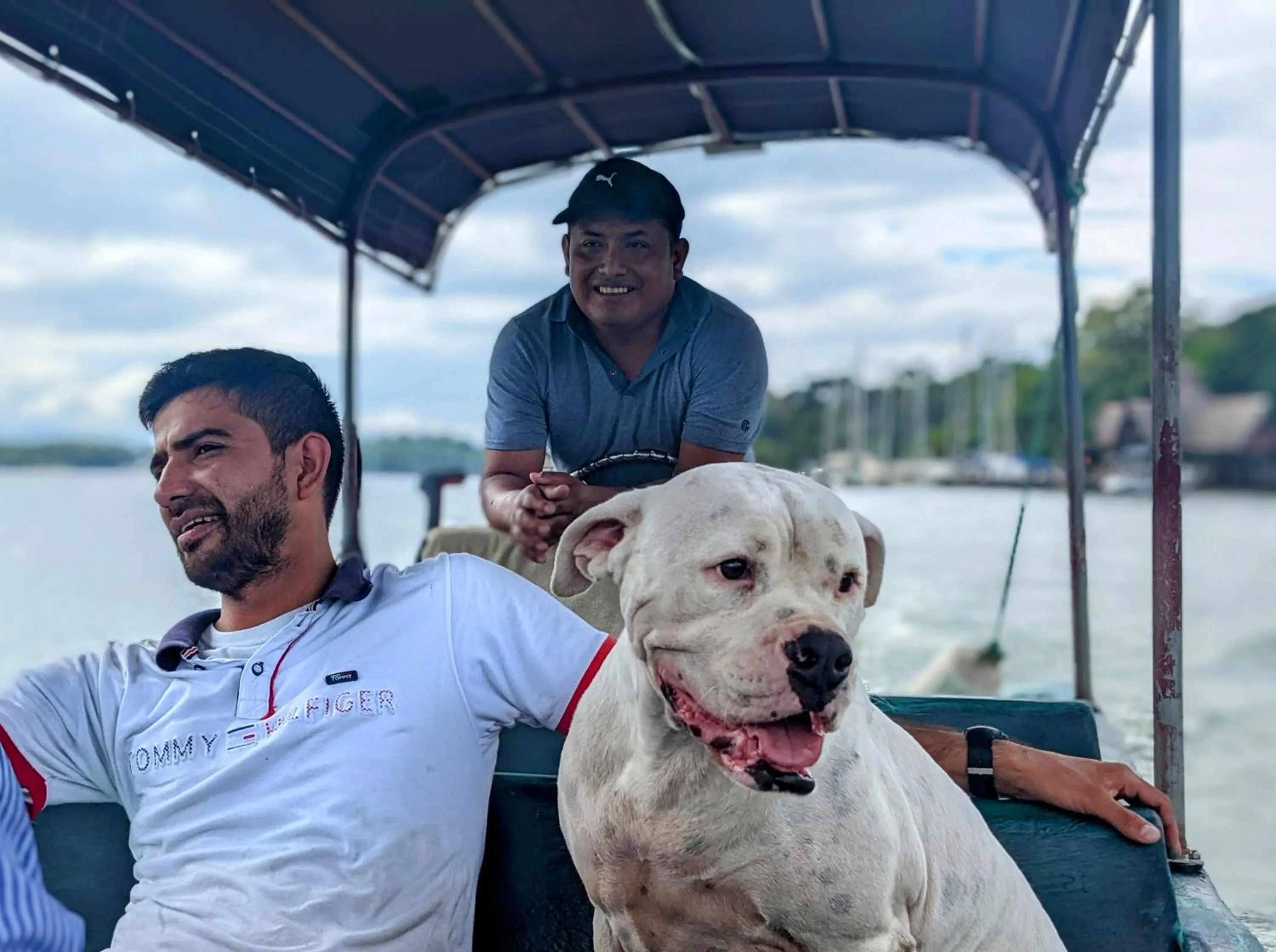 Property building in Tortugal Boutique River Lodge