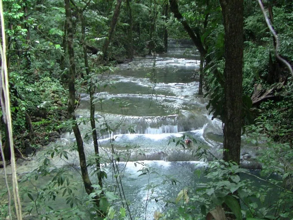 Nearby landmark in Tortugal Boutique River Lodge
