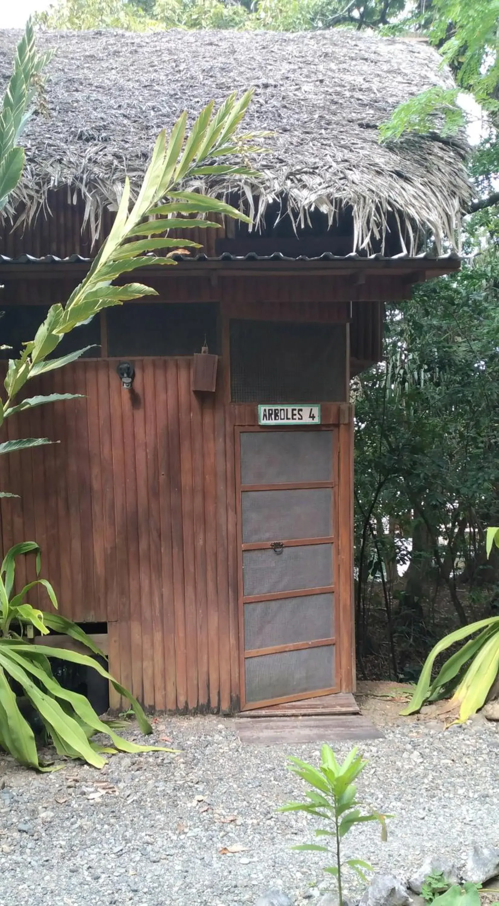 Double Room with Two Double Beds in Tortugal Boutique River Lodge Double Room with Two Double Beds in Tortugal Boutique River Lodge