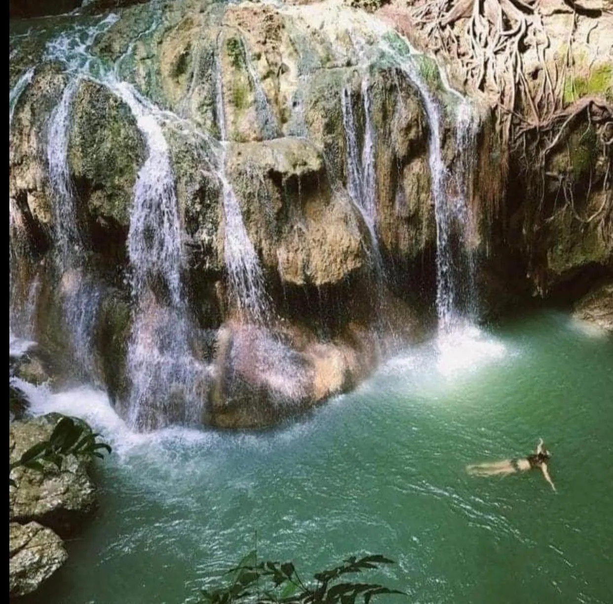 Spring in Tortugal Boutique River Lodge