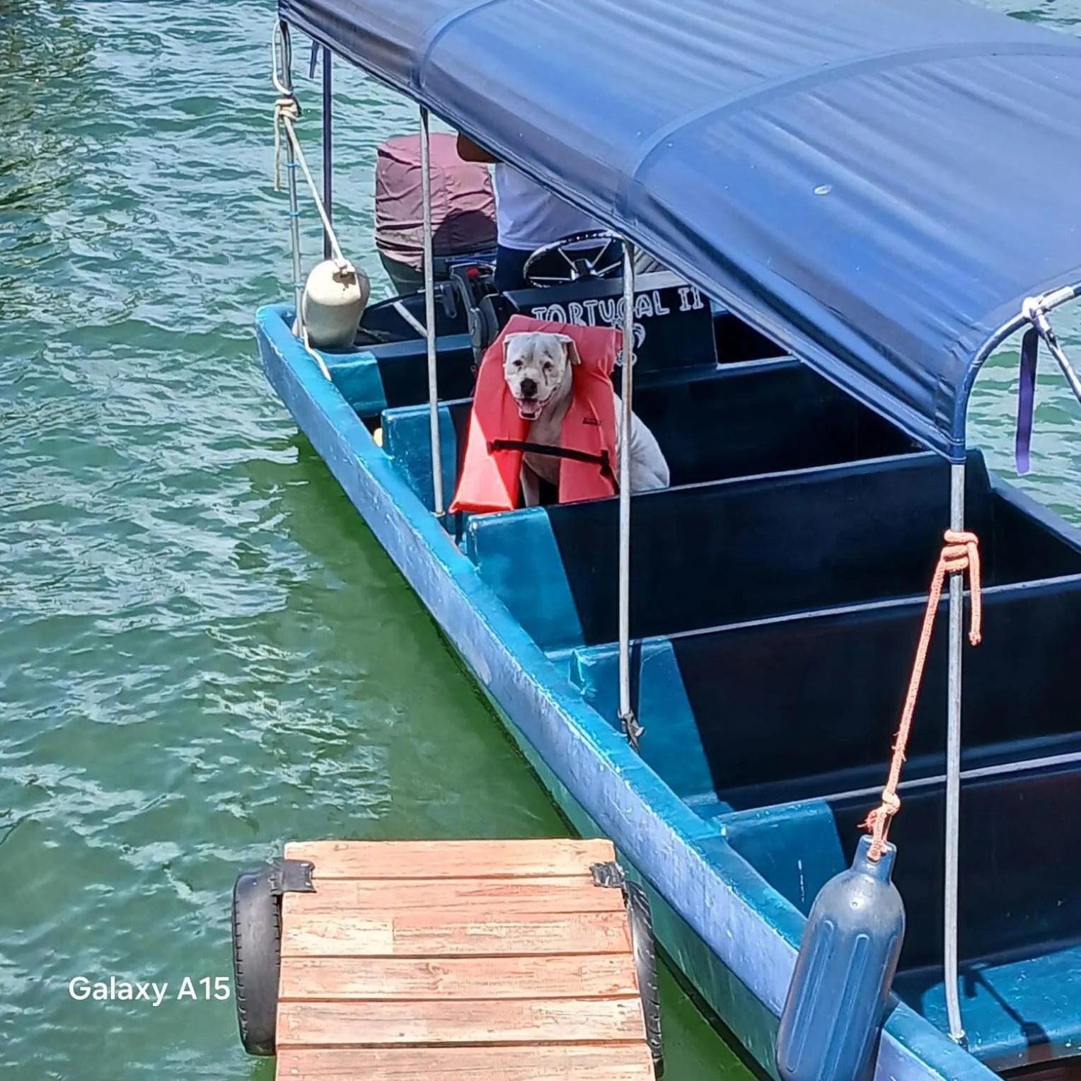Property building in Tortugal Boutique River Lodge