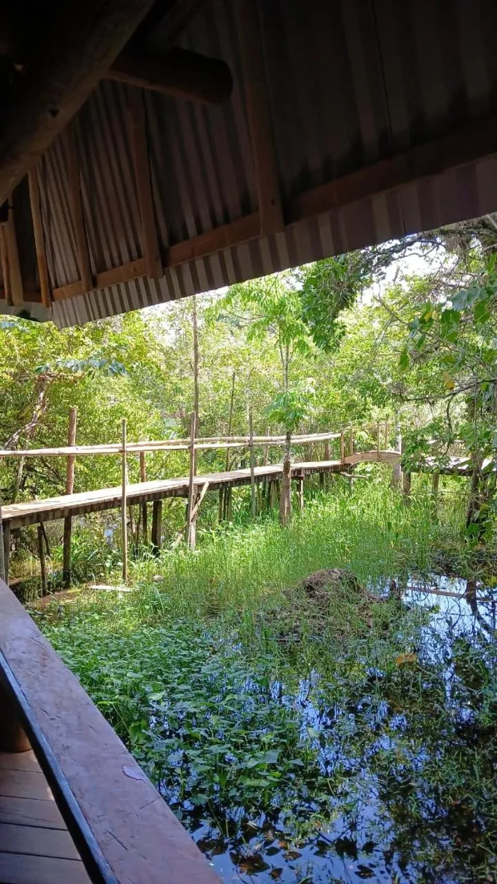 Spring in Tortugal Boutique River Lodge