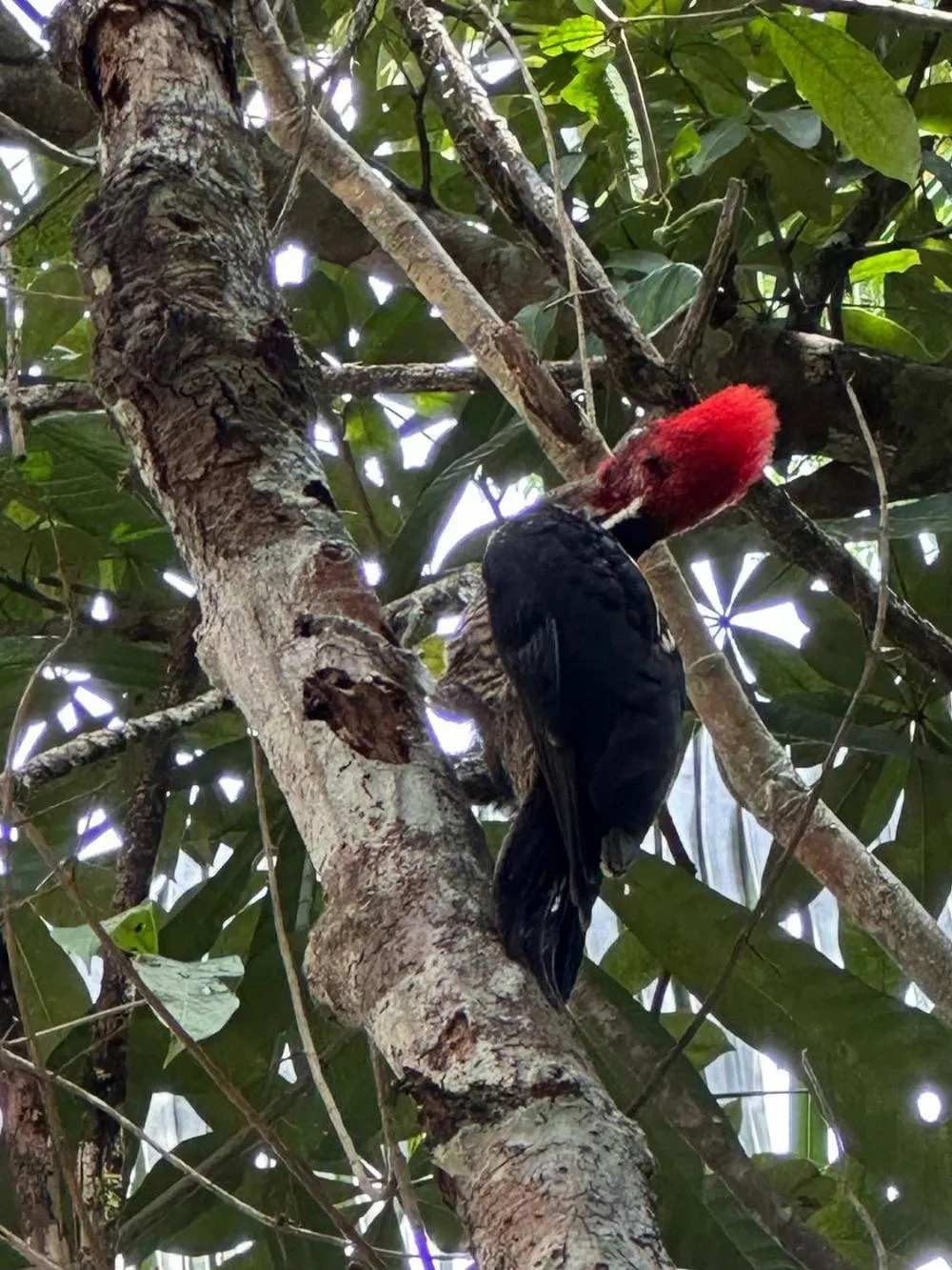 Day in Tortugal Boutique River Lodge