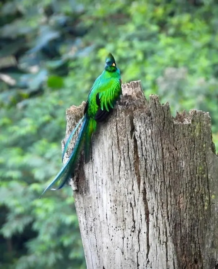 Day in Tortugal Boutique River Lodge