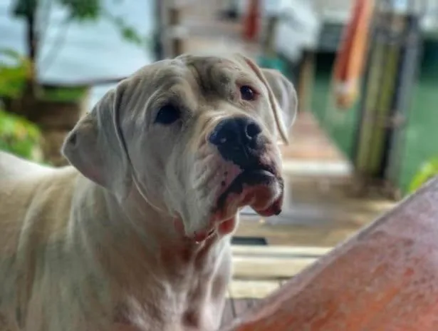 Property building in Tortugal Boutique River Lodge