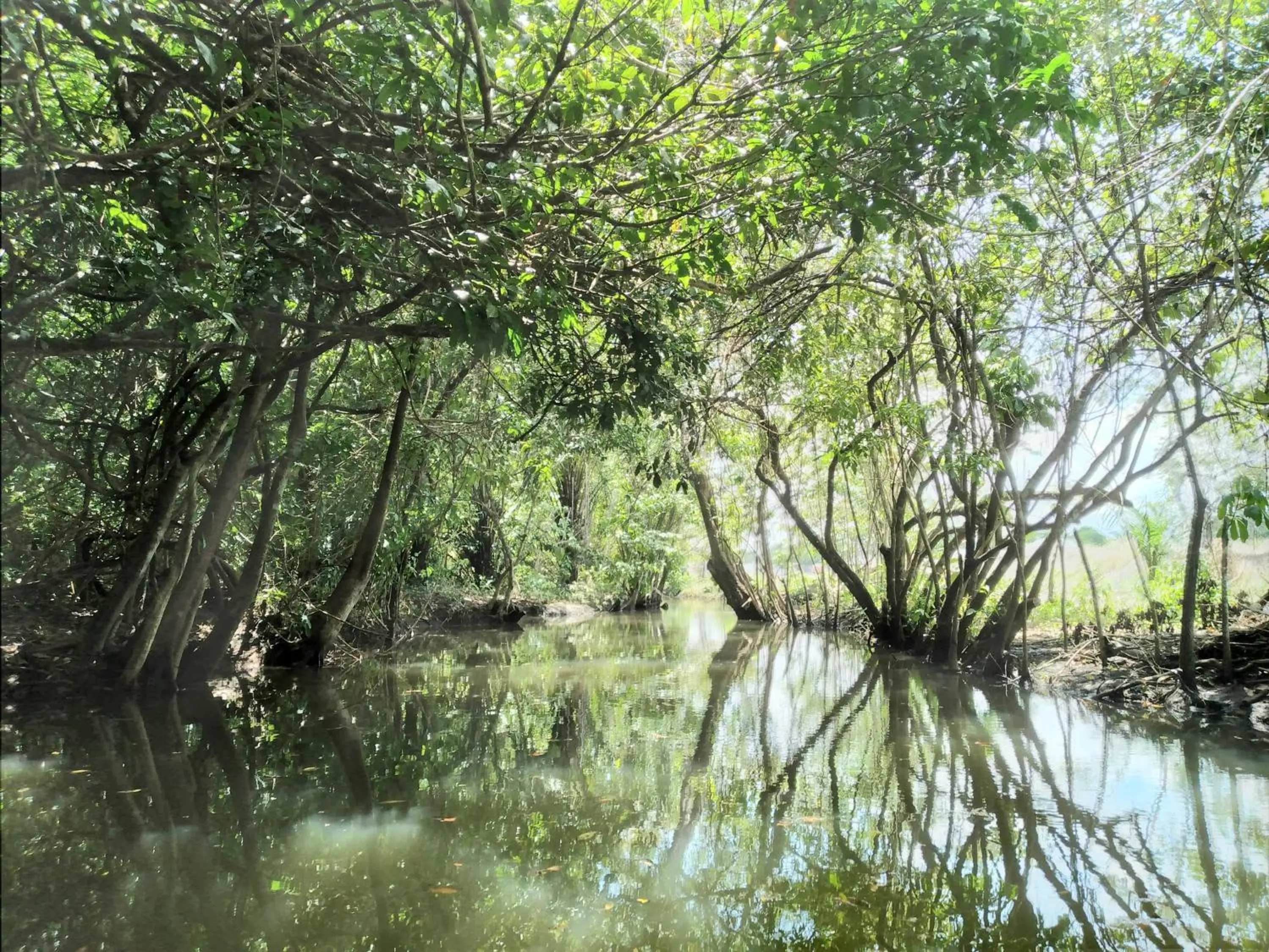 Spring in Tortugal Boutique River Lodge