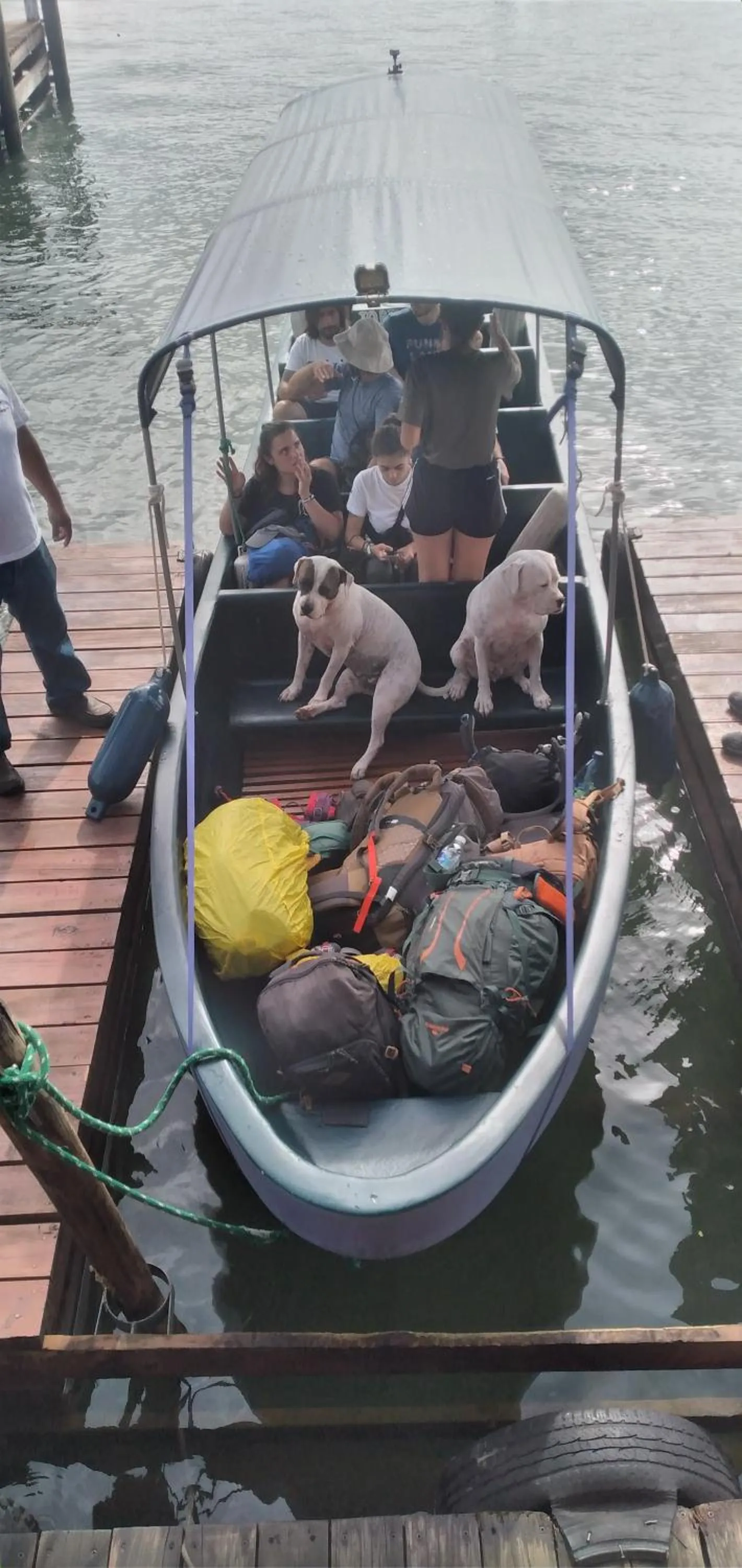 Property building in Tortugal Boutique River Lodge