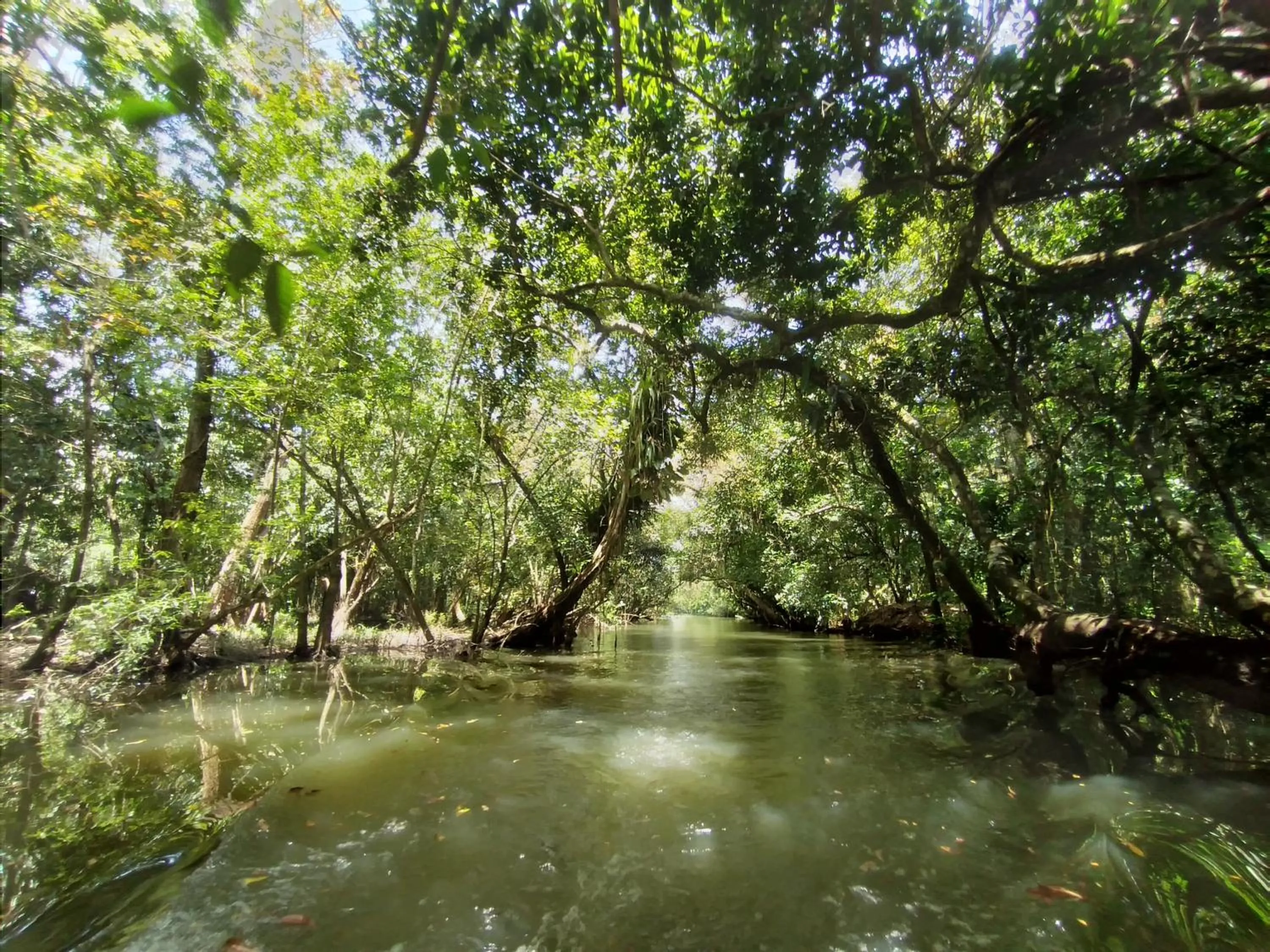 Spring in Tortugal Boutique River Lodge