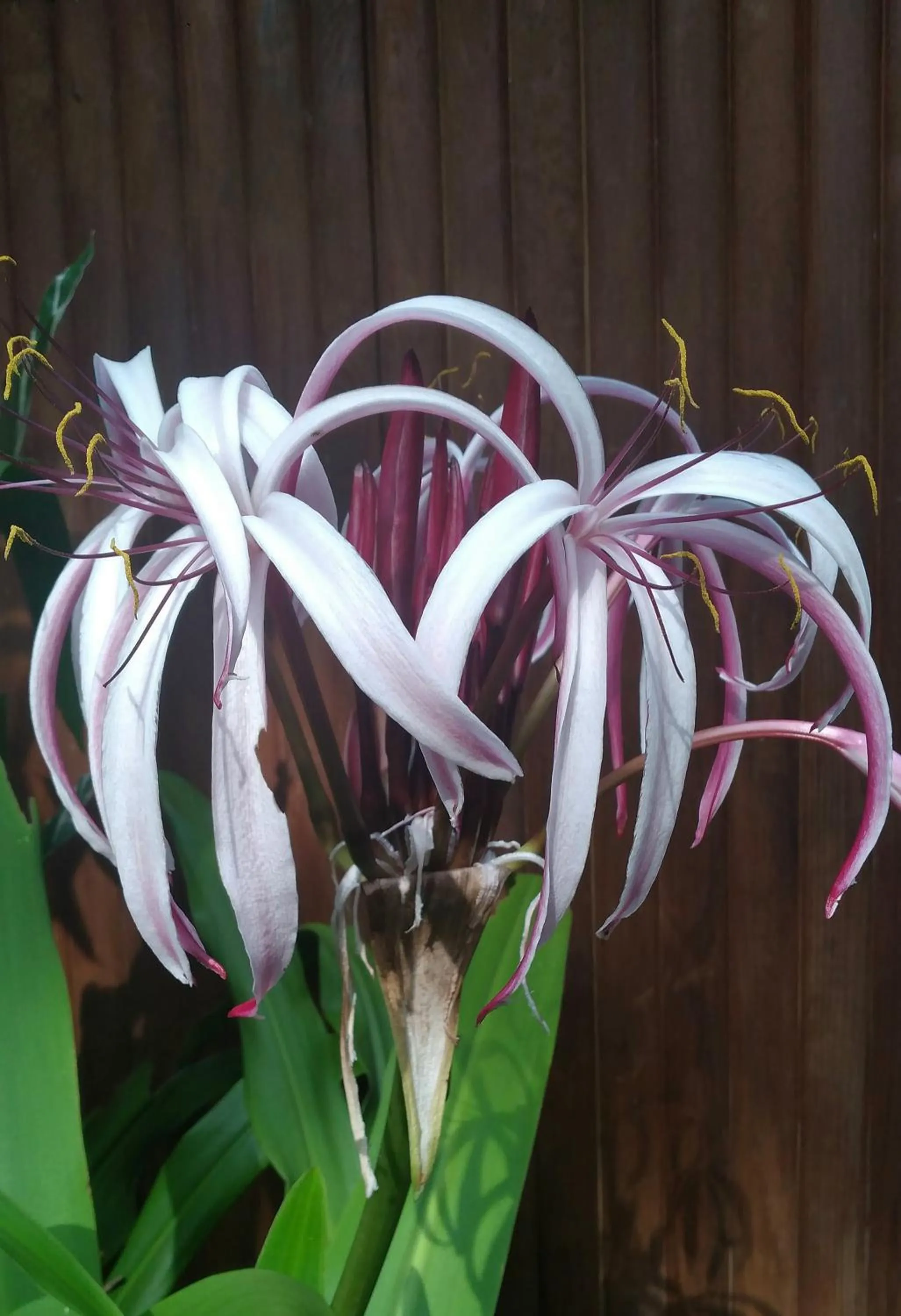 Property building in Tortugal Boutique River Lodge