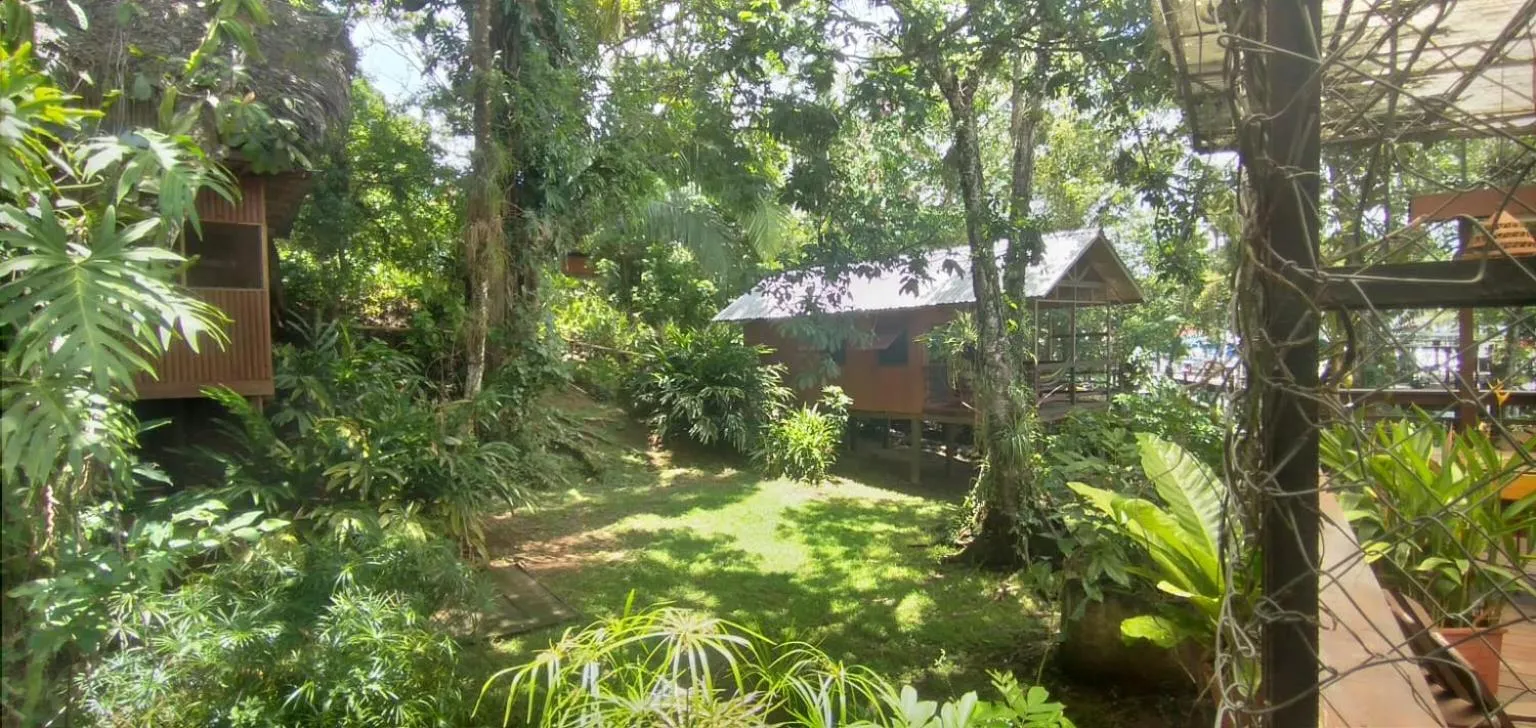 Spring in Tortugal Boutique River Lodge