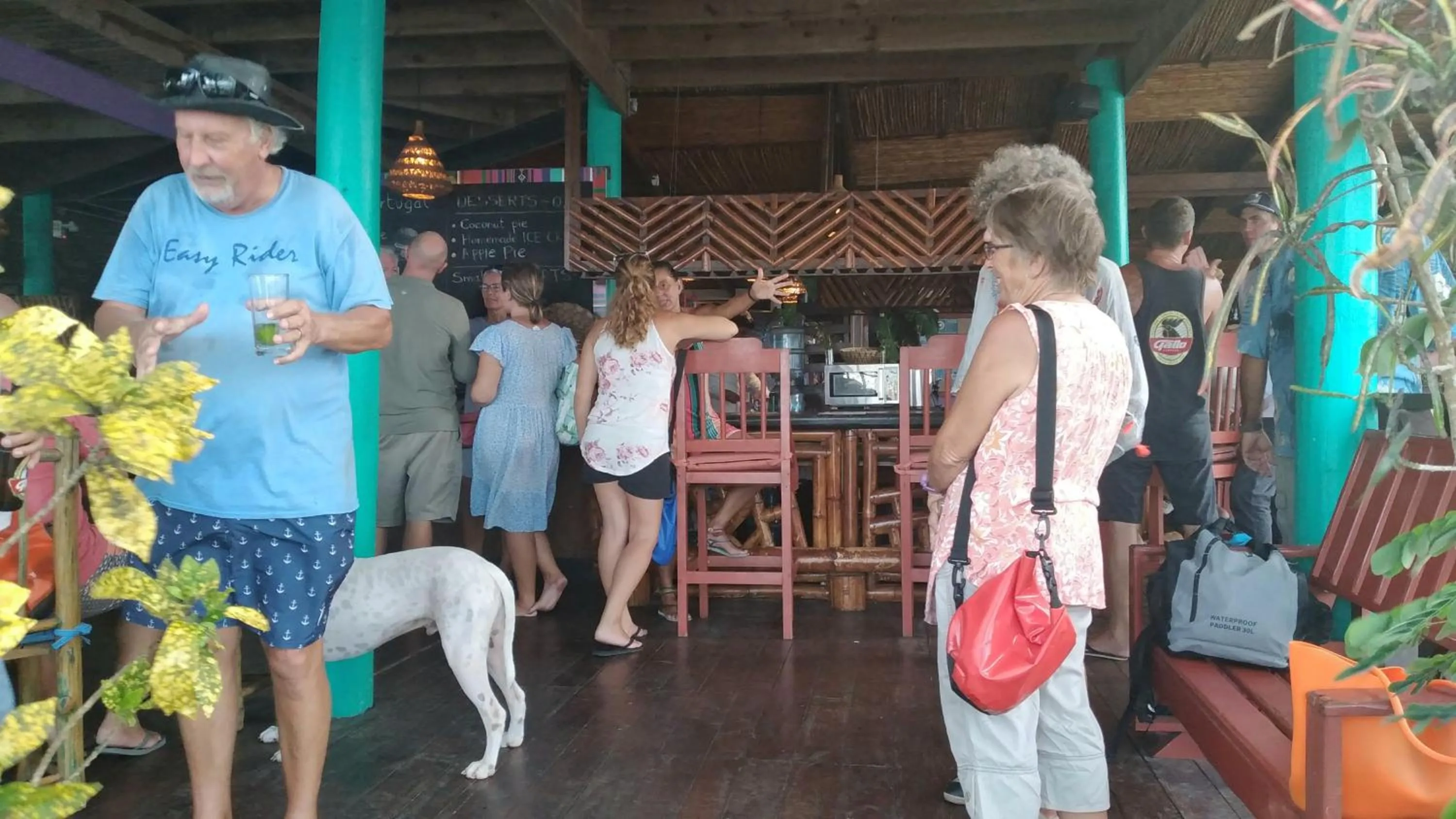 Property building in Tortugal Boutique River Lodge