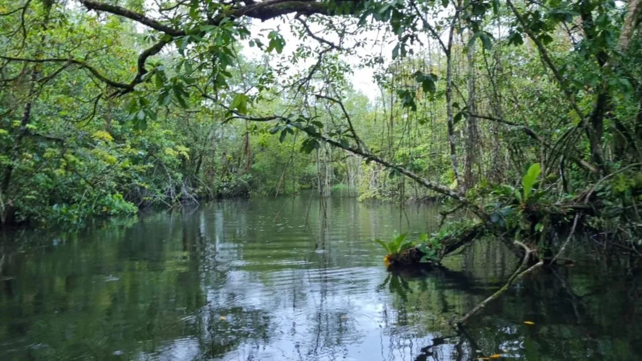 Spring in Tortugal Boutique River Lodge