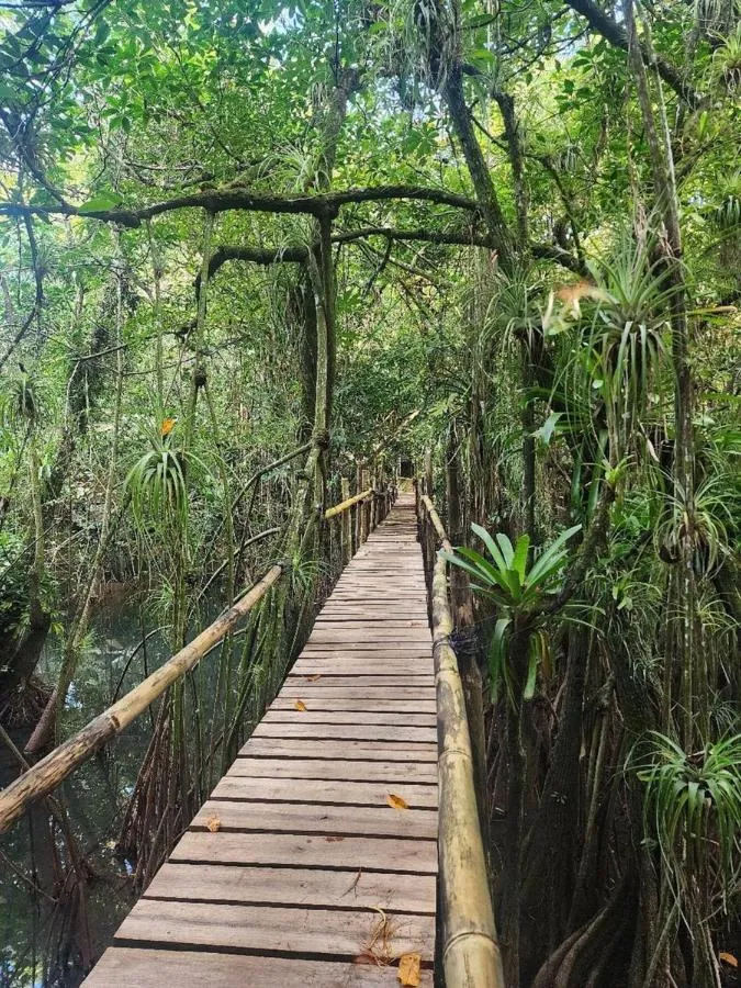 Spring in Tortugal Boutique River Lodge