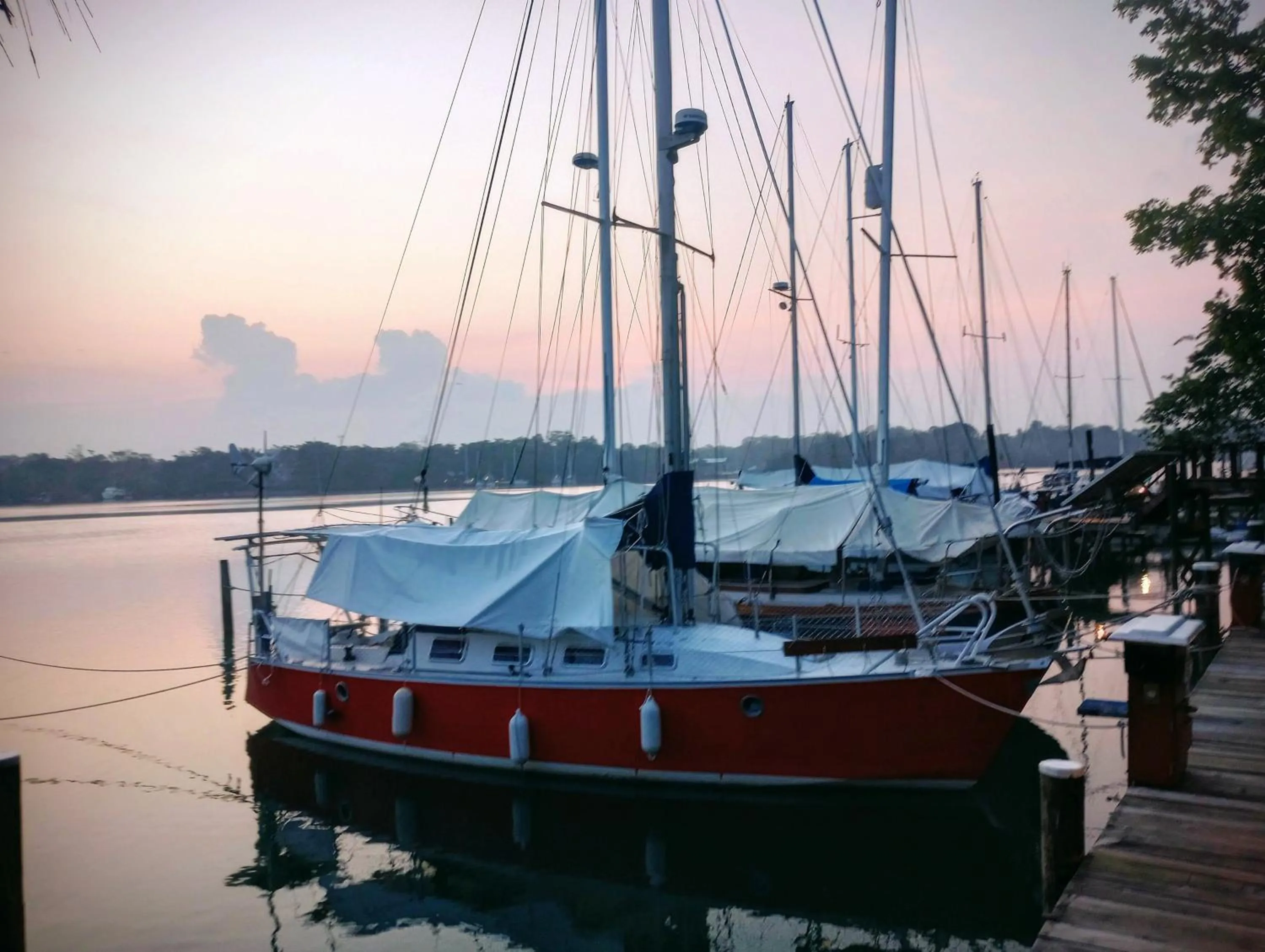 Restaurant/places to eat in Tortugal Boutique River Lodge