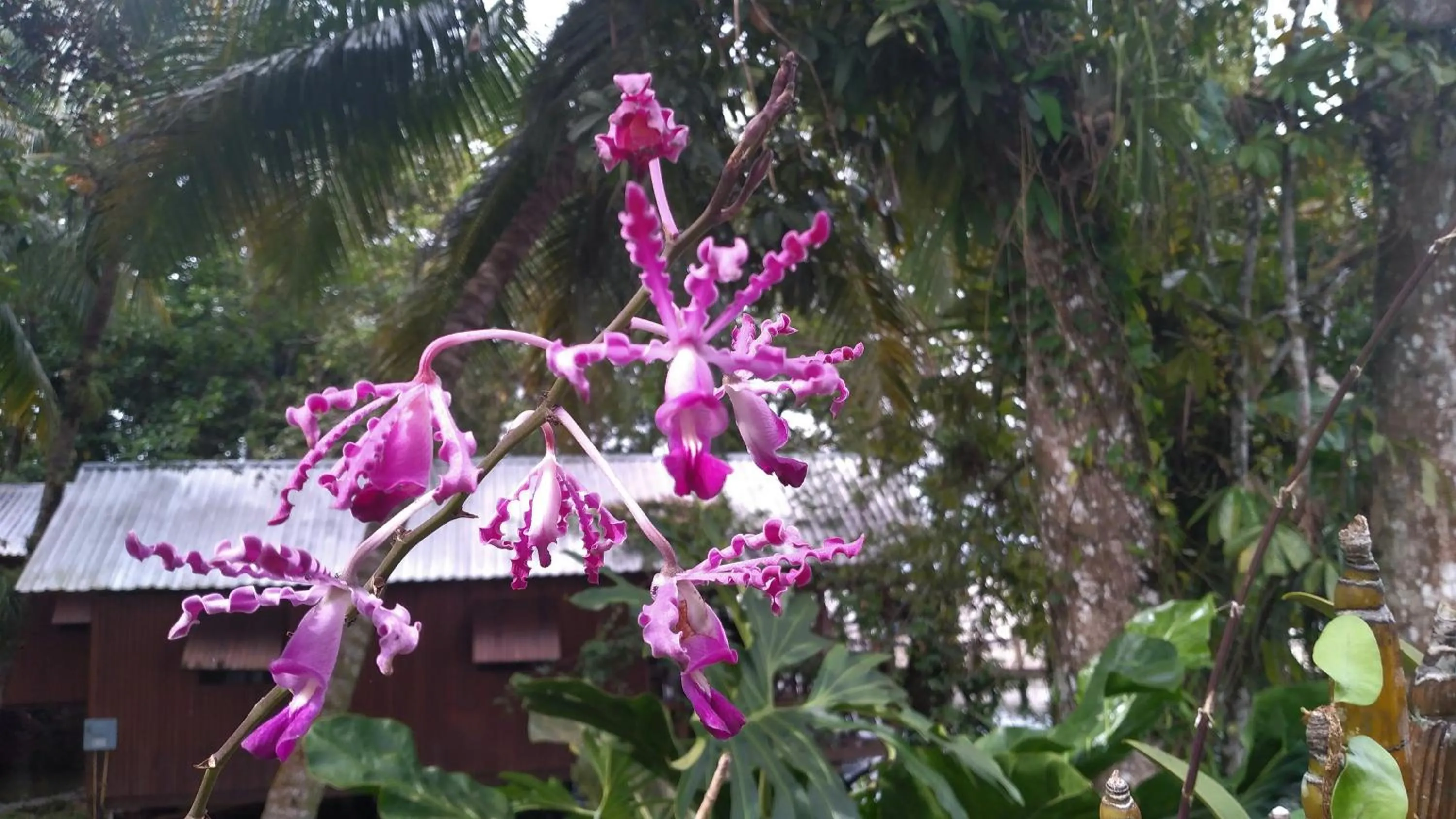 Spring in Tortugal Boutique River Lodge