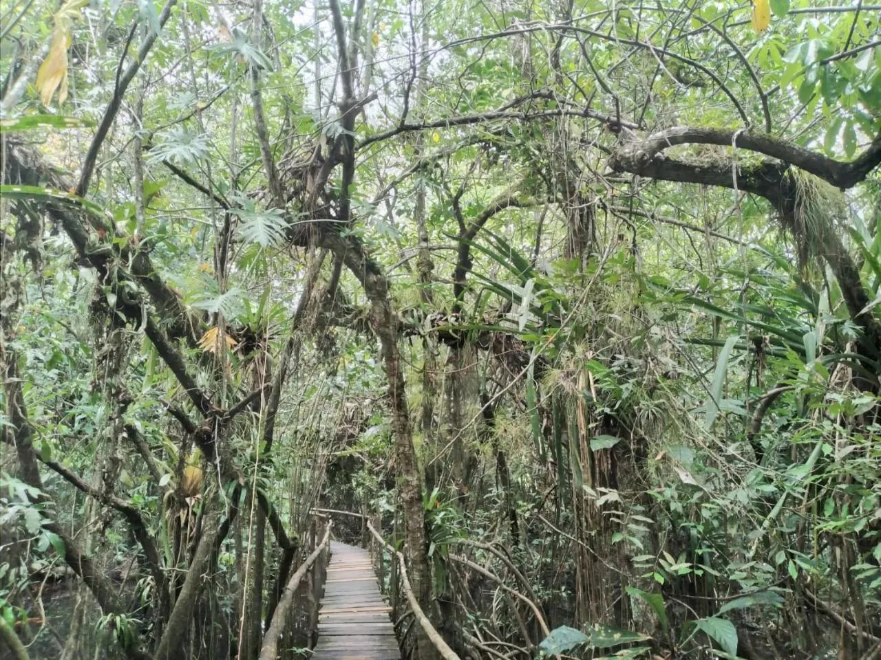 Spring in Tortugal Boutique River Lodge