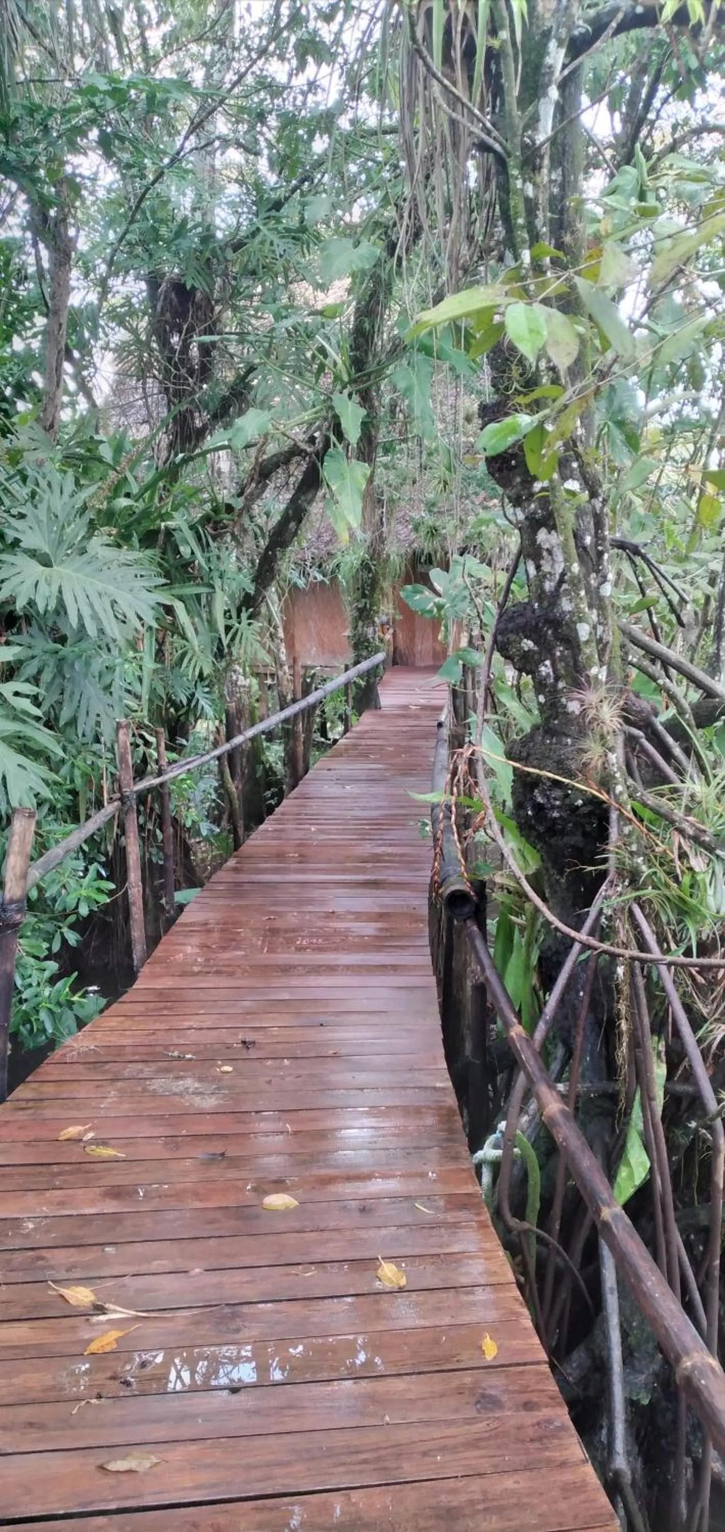 Property building in Tortugal Boutique River Lodge