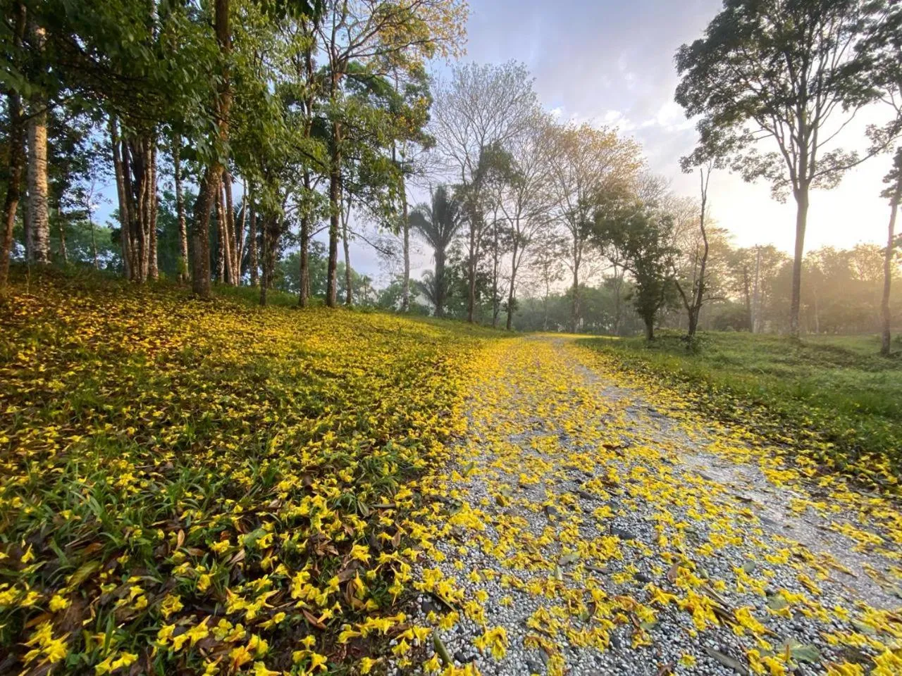 Spring in Tortugal Boutique River Lodge