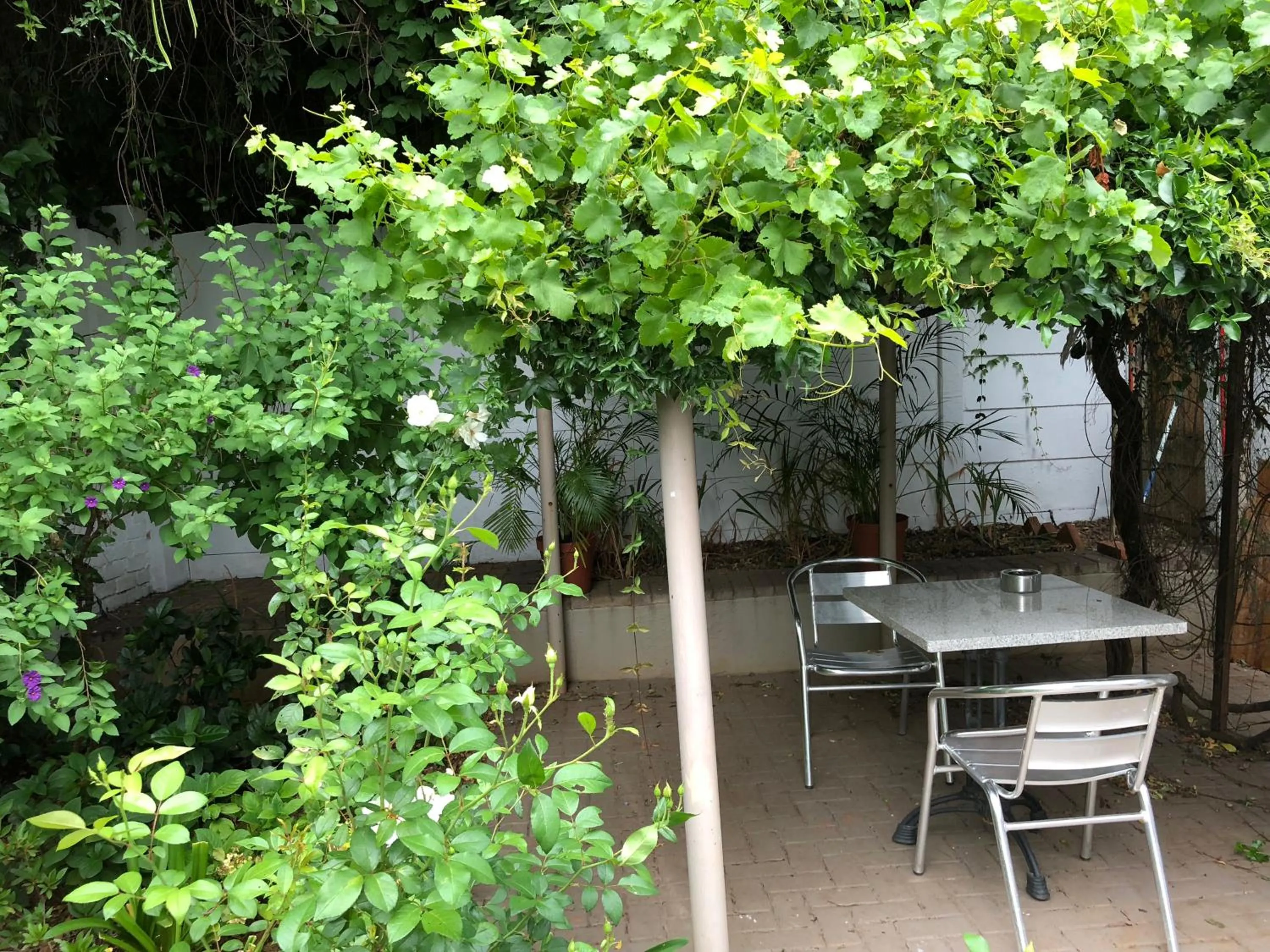 Patio in Life on 3rd