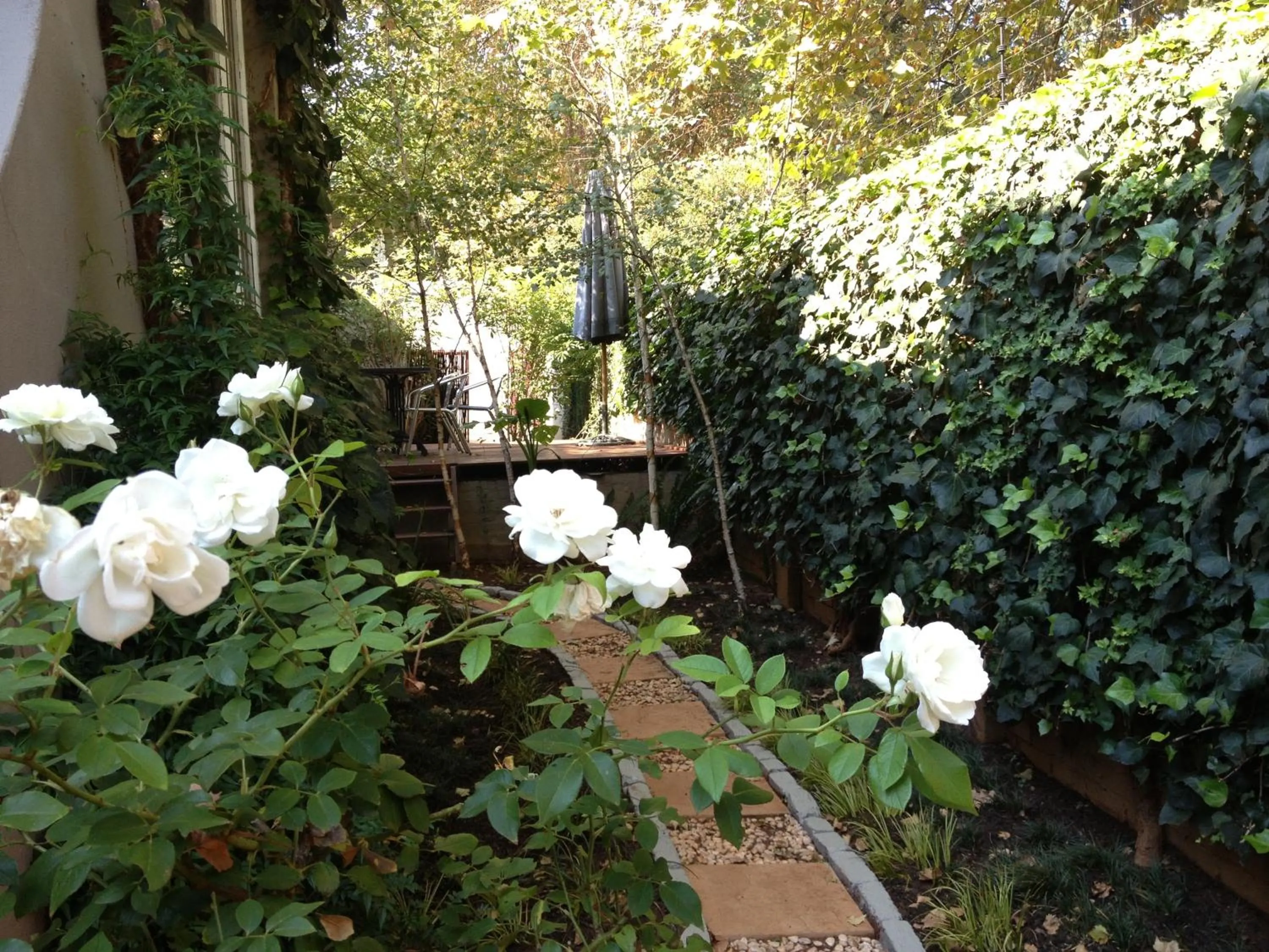 Garden in Life on 3rd