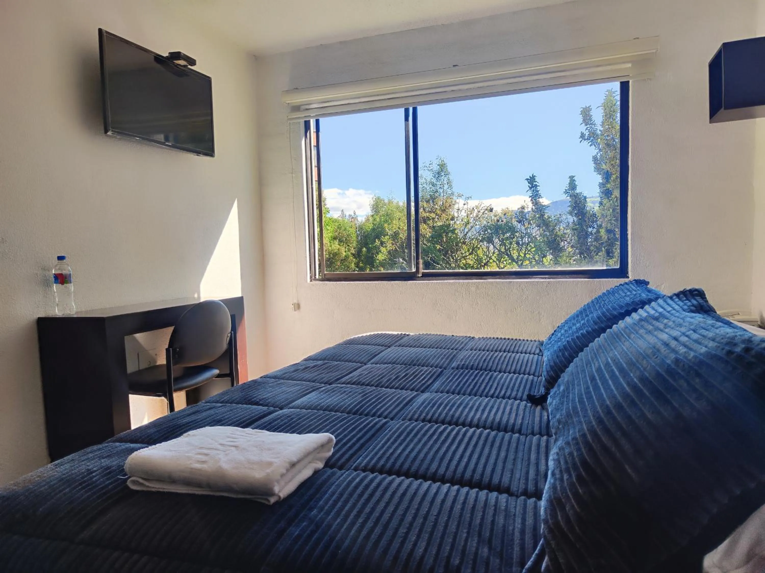 Photo of the whole room, Bed in Hotel Bellavista Quito