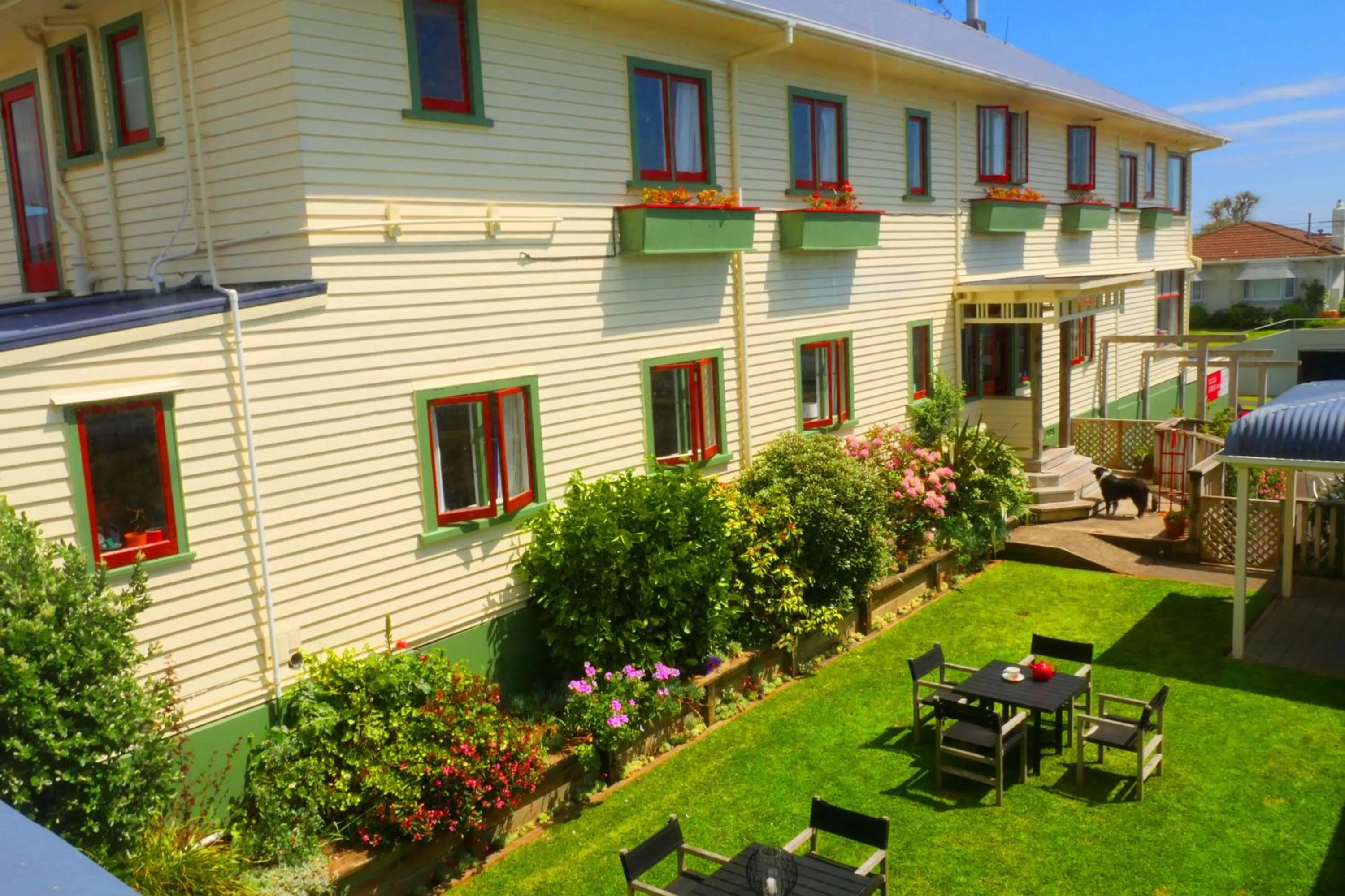 Bird's eye view in Ducks & Drakes Boutique Motel & Backpackers