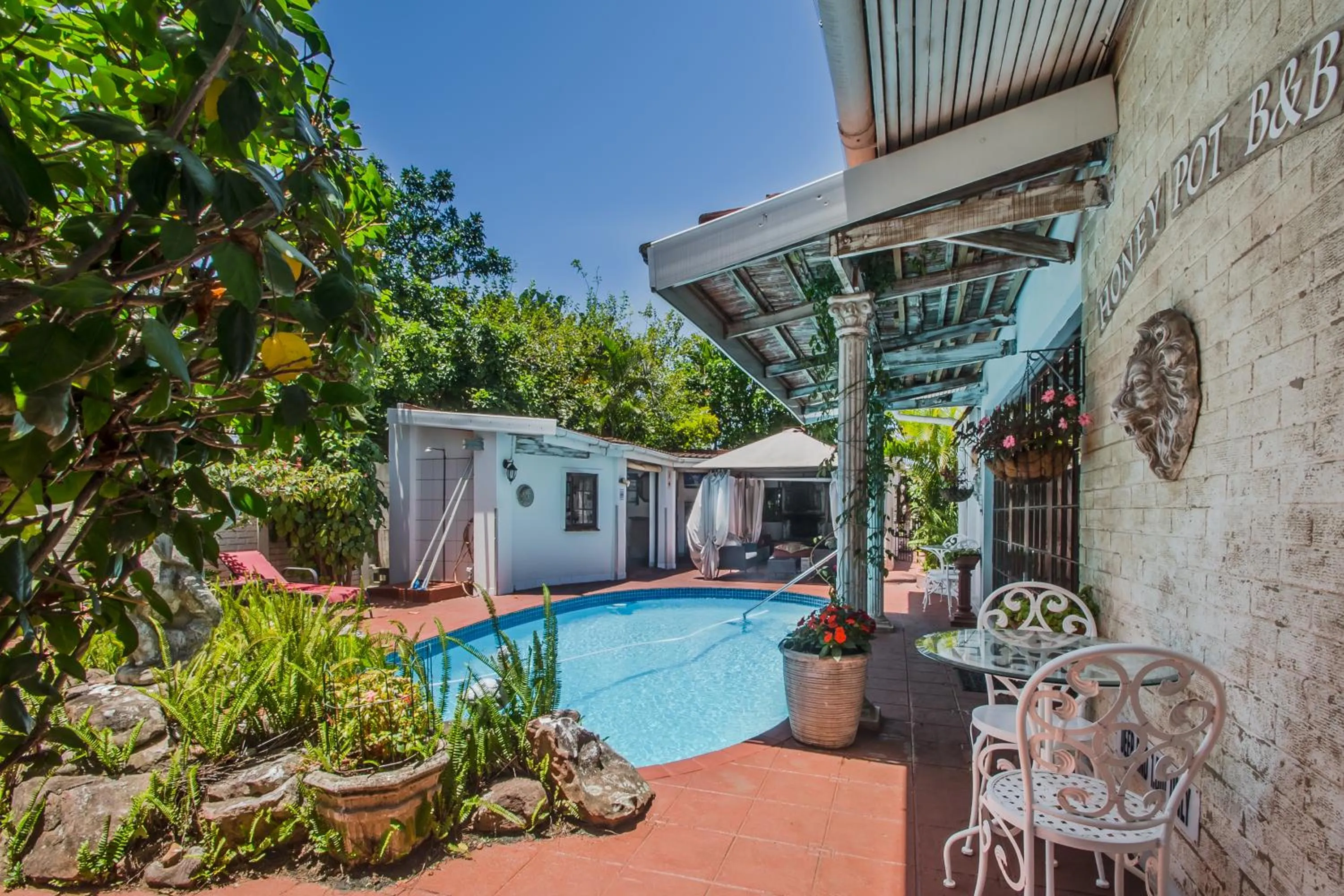 Swimming pool in HoneyPot Guest house