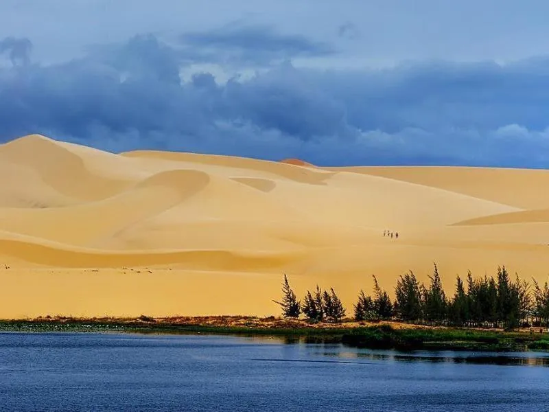 Natural landscape in Hung Phuc Mui Ne Hotel