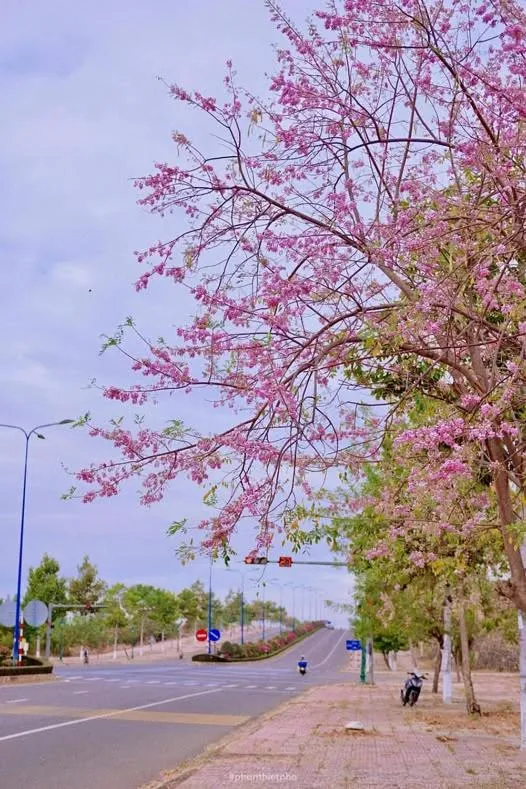 Hung Phuc Mui Ne Hotel