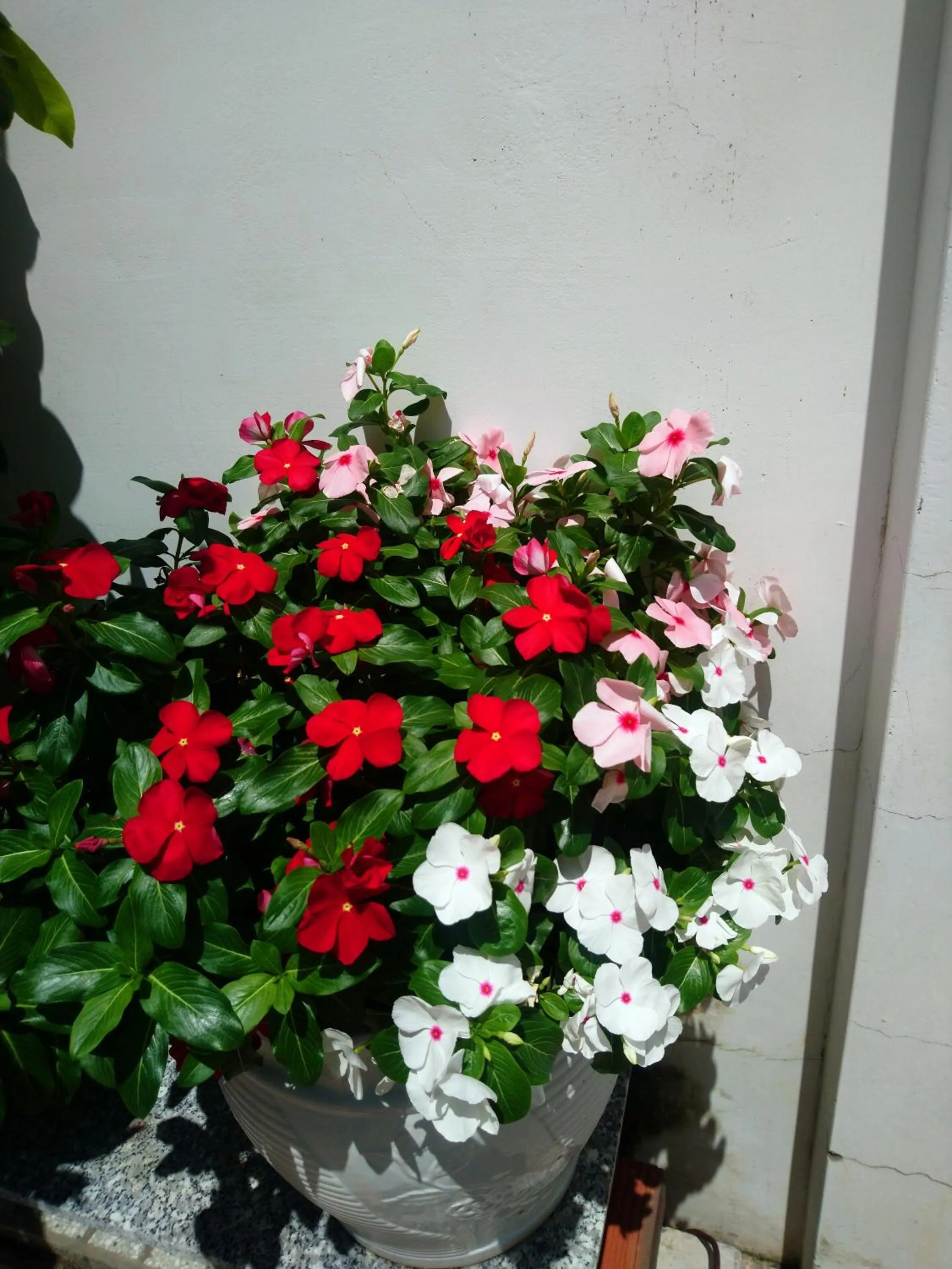 Garden in Hung Phuc Mui Ne Hotel