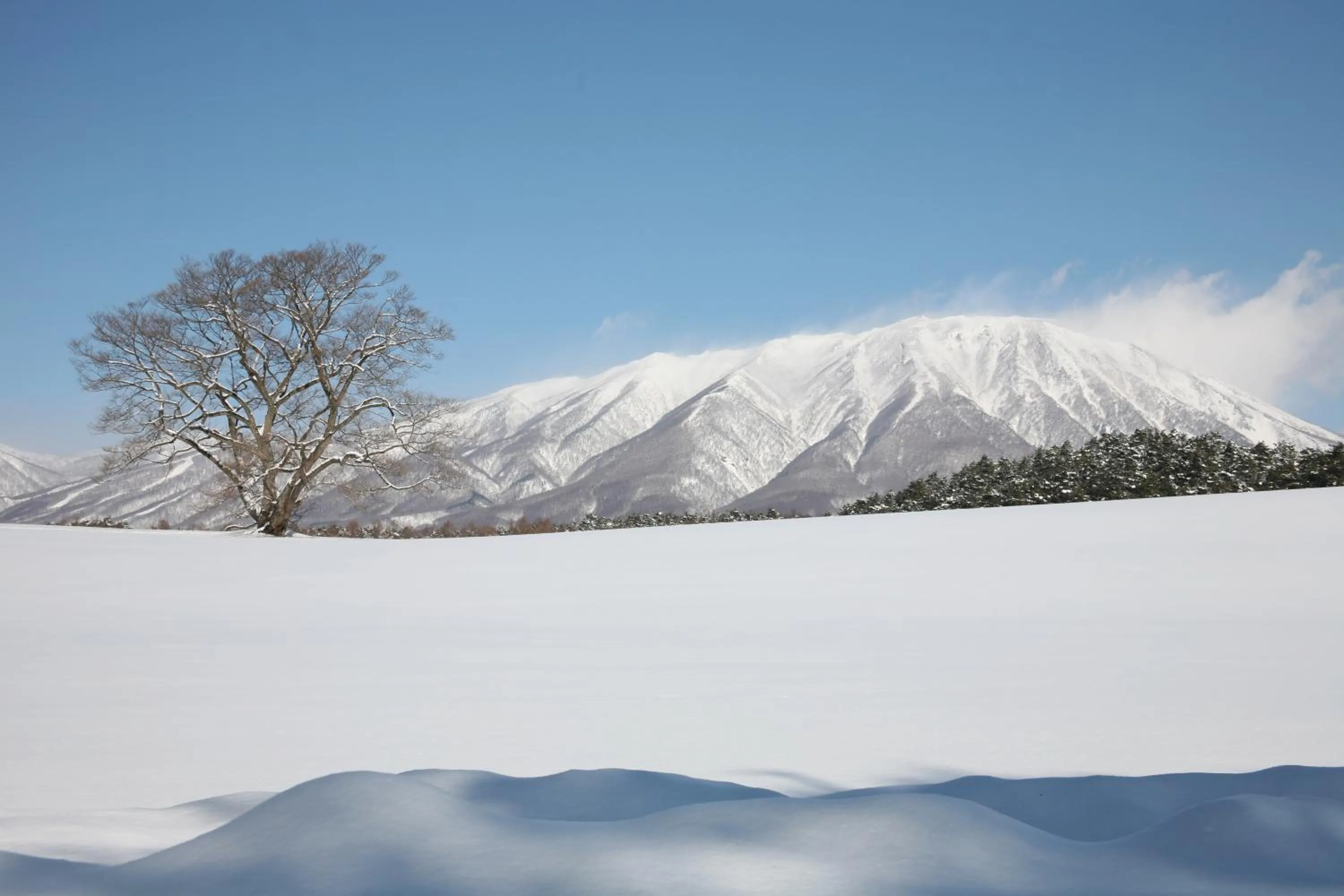 Nearby landmark in Hotel Taikan