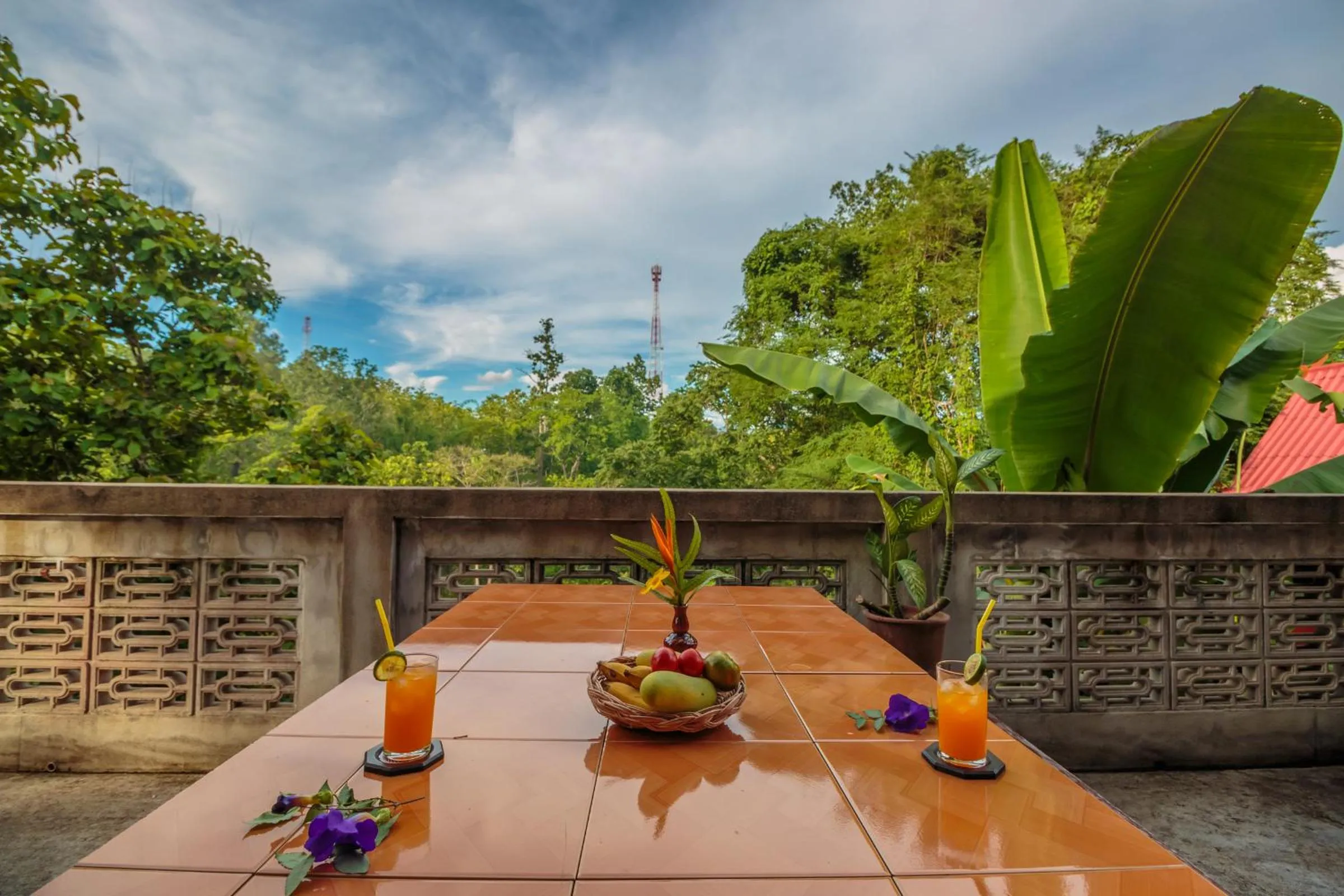 Balcony/Terrace in Mitkhoonyoum Hotel