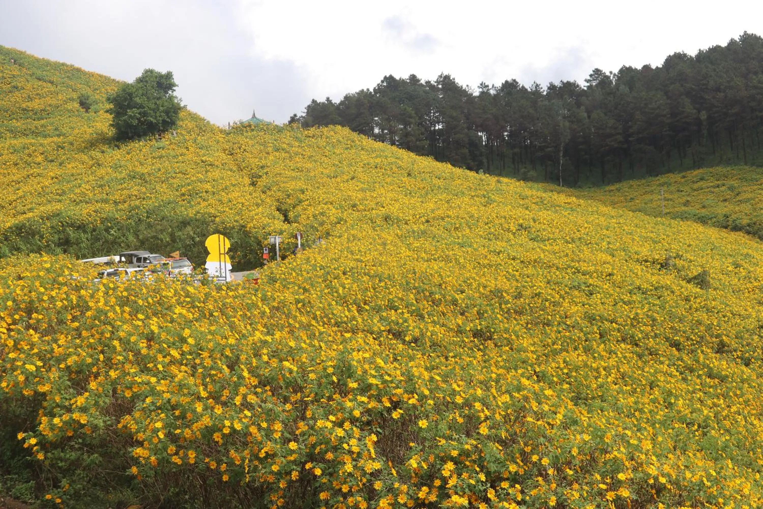 Natural landscape in Mitkhoonyoum Hotel